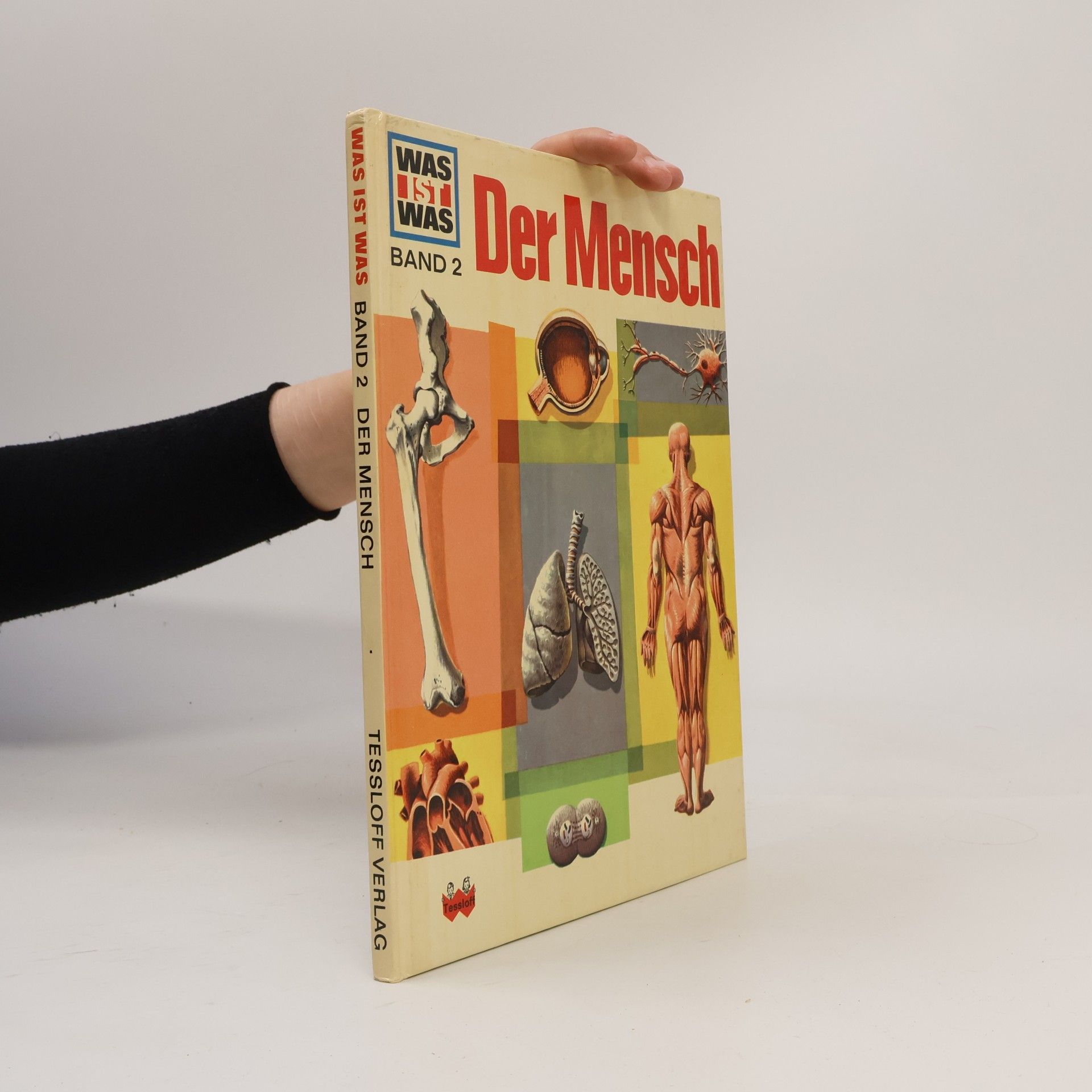 Signe Seiler Der Mensch
