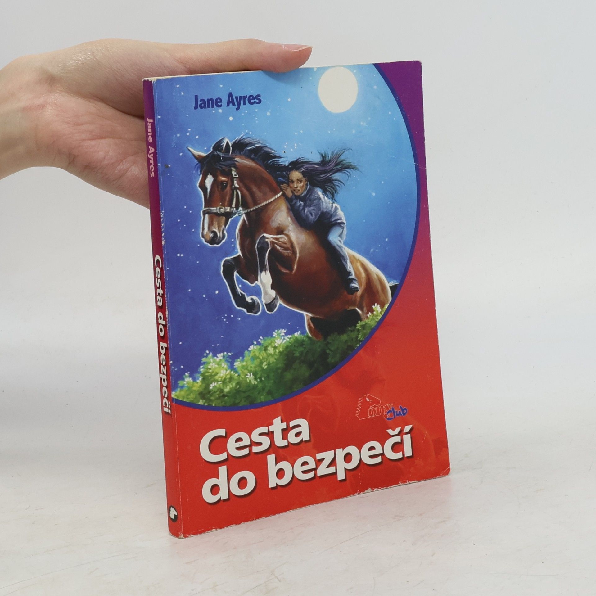 Jane Ayres Cesta do bezpečí