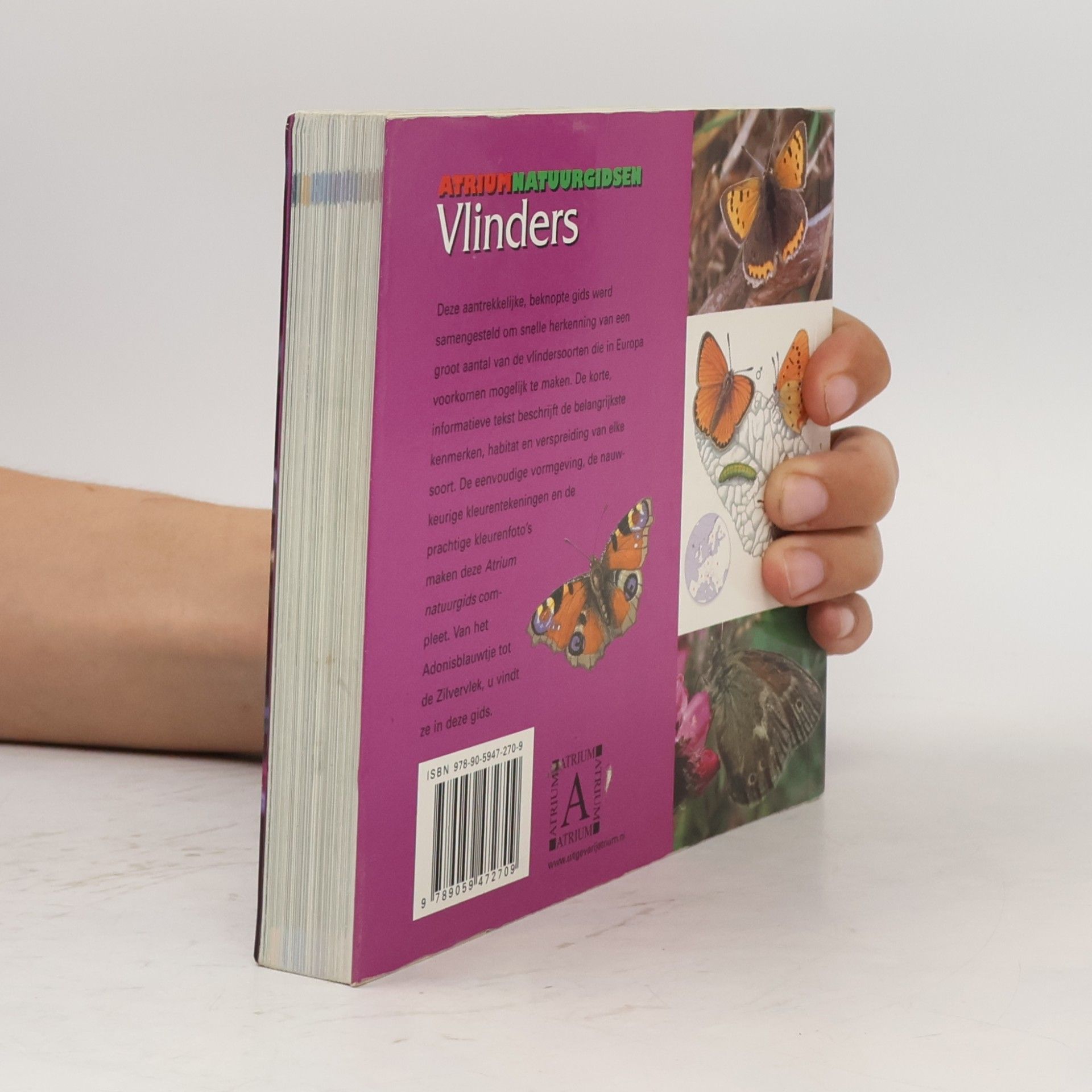 Pamela Forey Vlinders