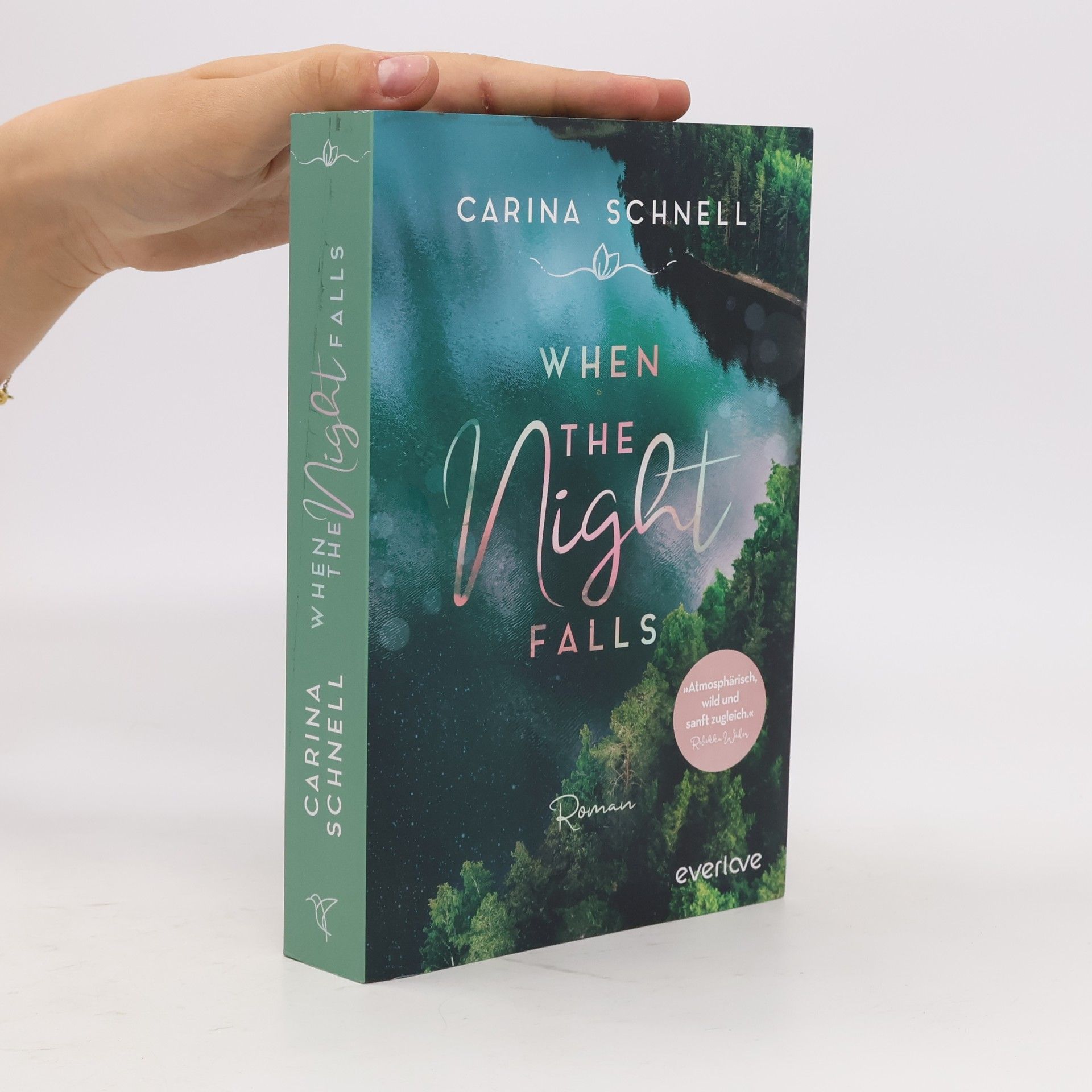 Karina Schnell When the Night Falls