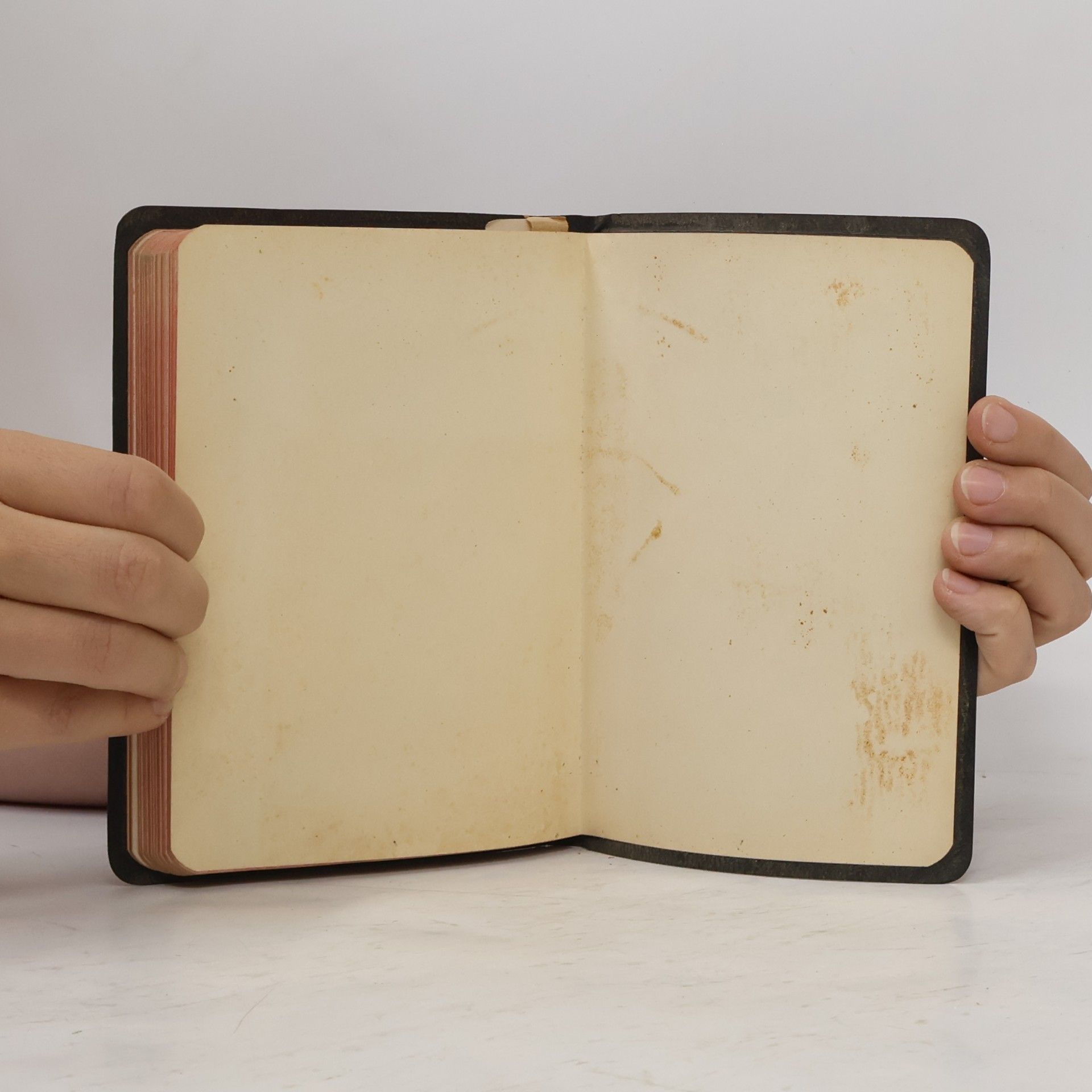 Martin Luther Das Neue Testament unsers Herrn und Heilandes Jesu Christi