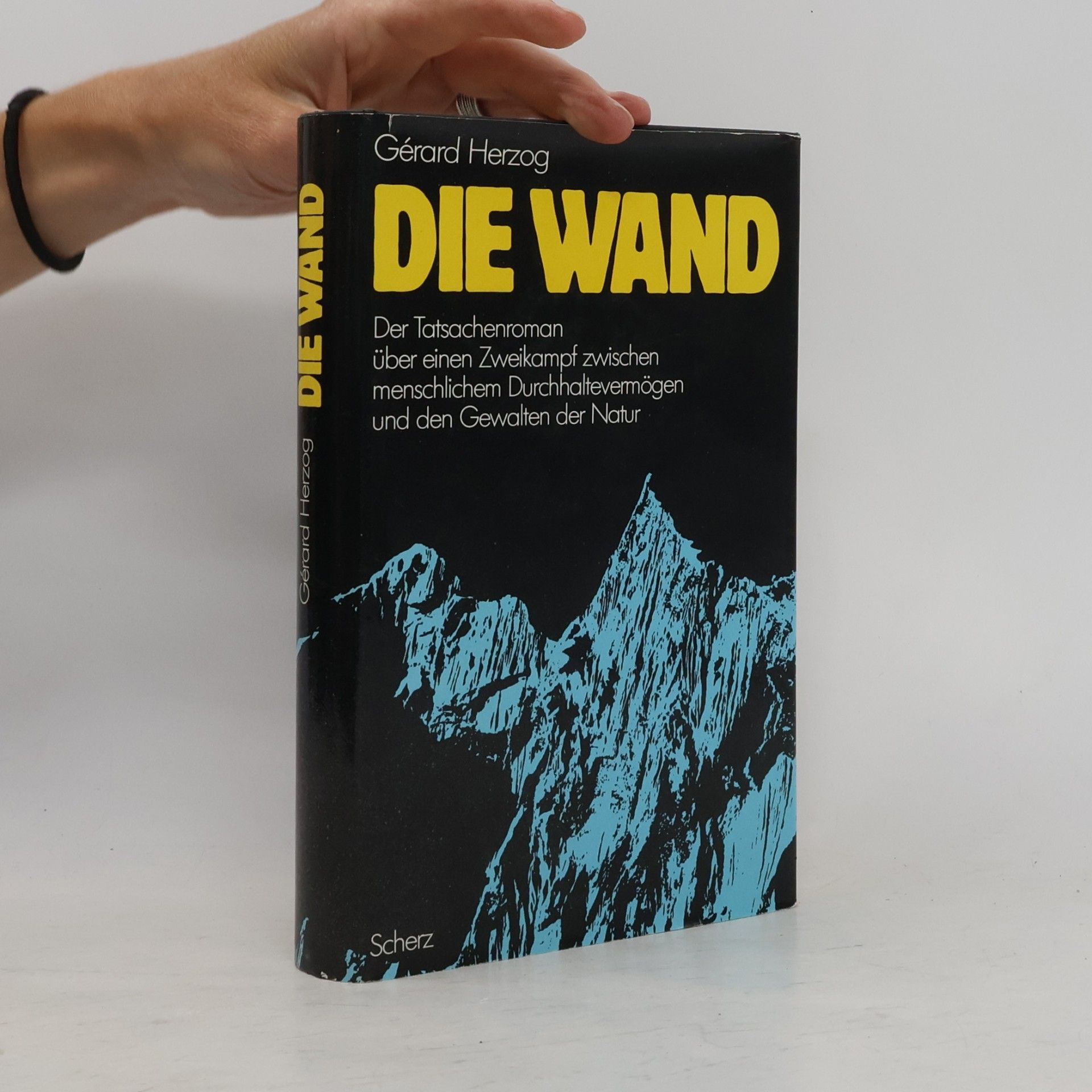 Gérard Herzog Die Wand