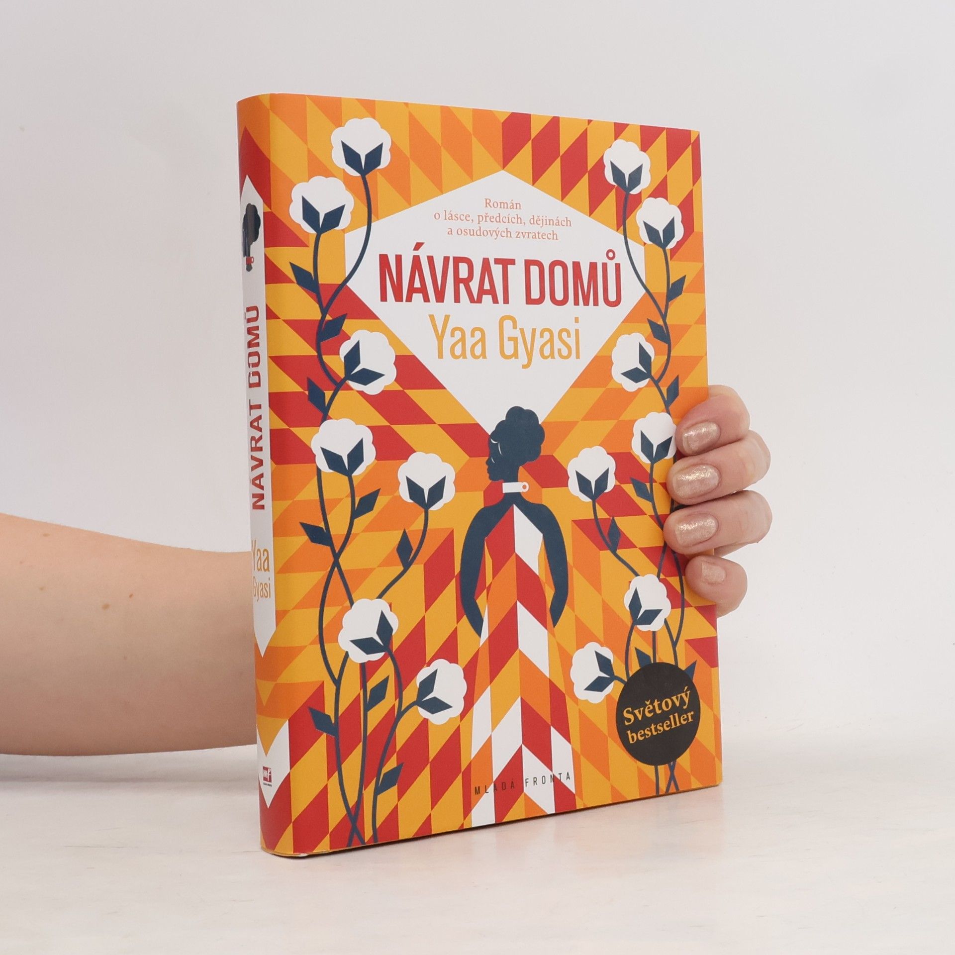 Yaa Gyasi Návrat domů