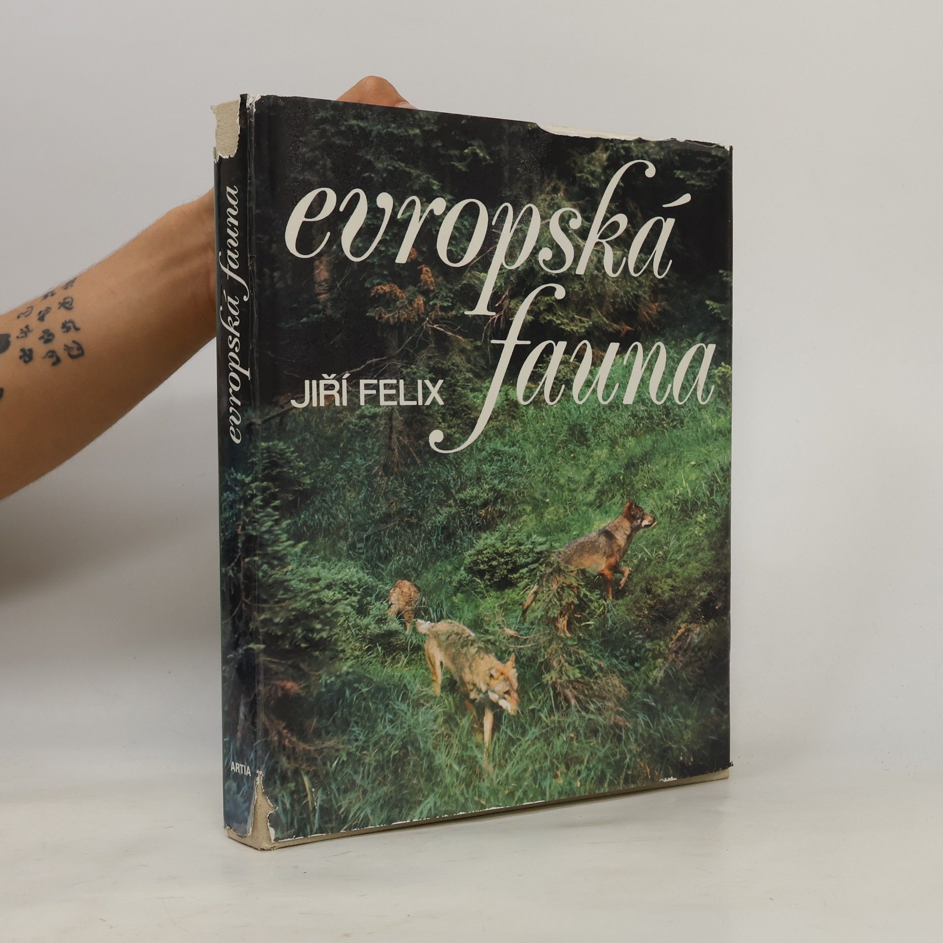 Evropská fauna