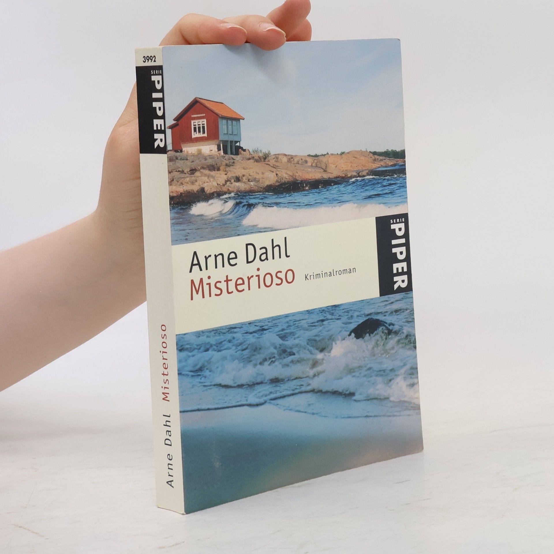 Arne Dahl Misterioso