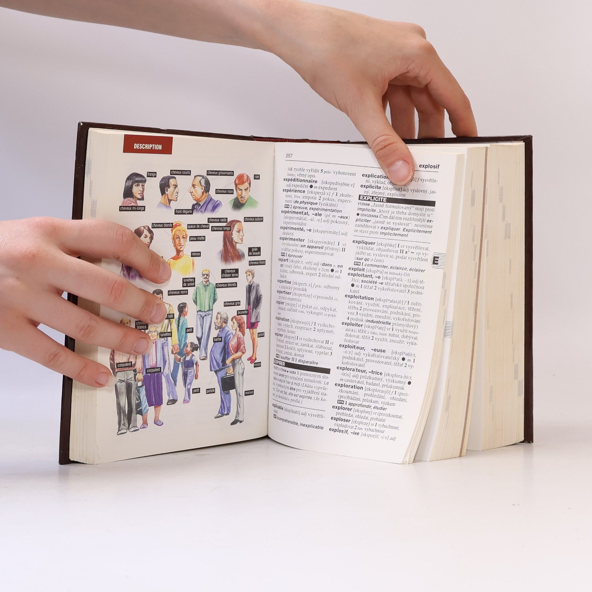 Autorenkollektiv Francouzsko-český, česko-francouzský slovník
