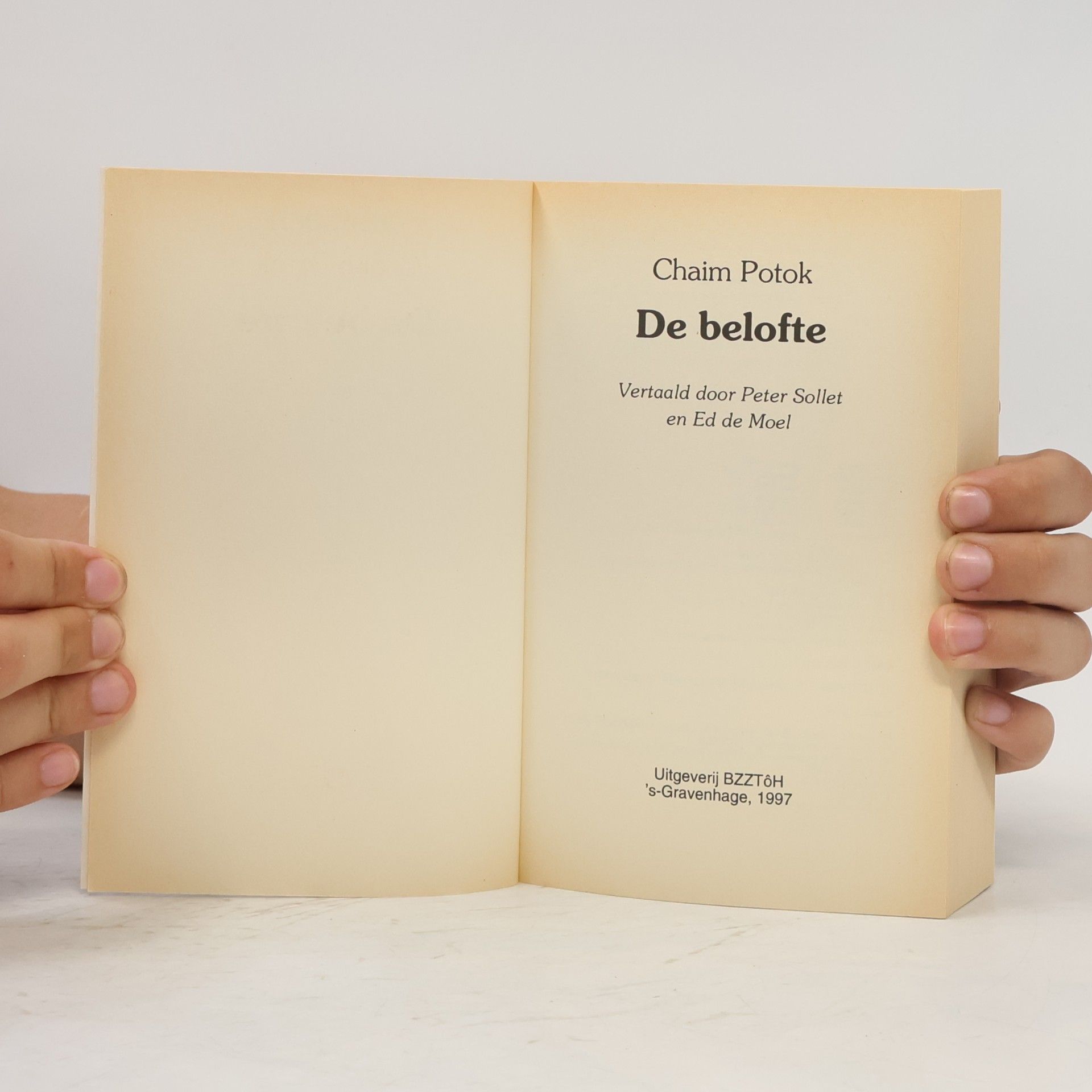Chaim Potok De belofte