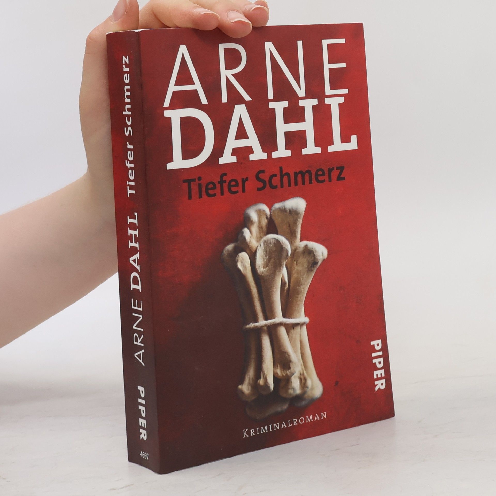 Arne Dahl Tiefer Schmerz