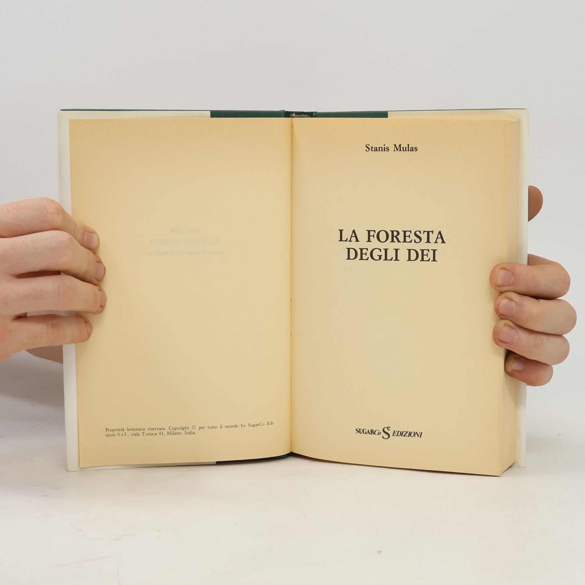 Stanis Mulas La Foresta degli Dei