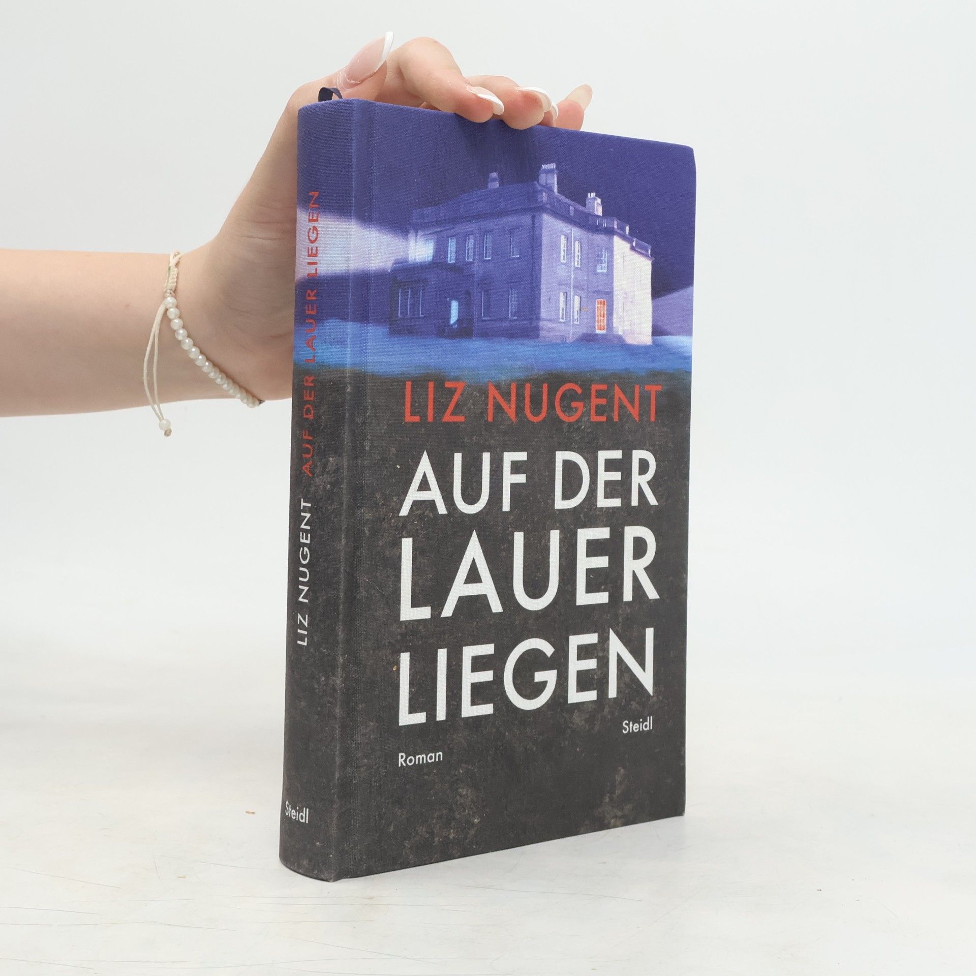 Liz Nugent Auf der Lauer liegen