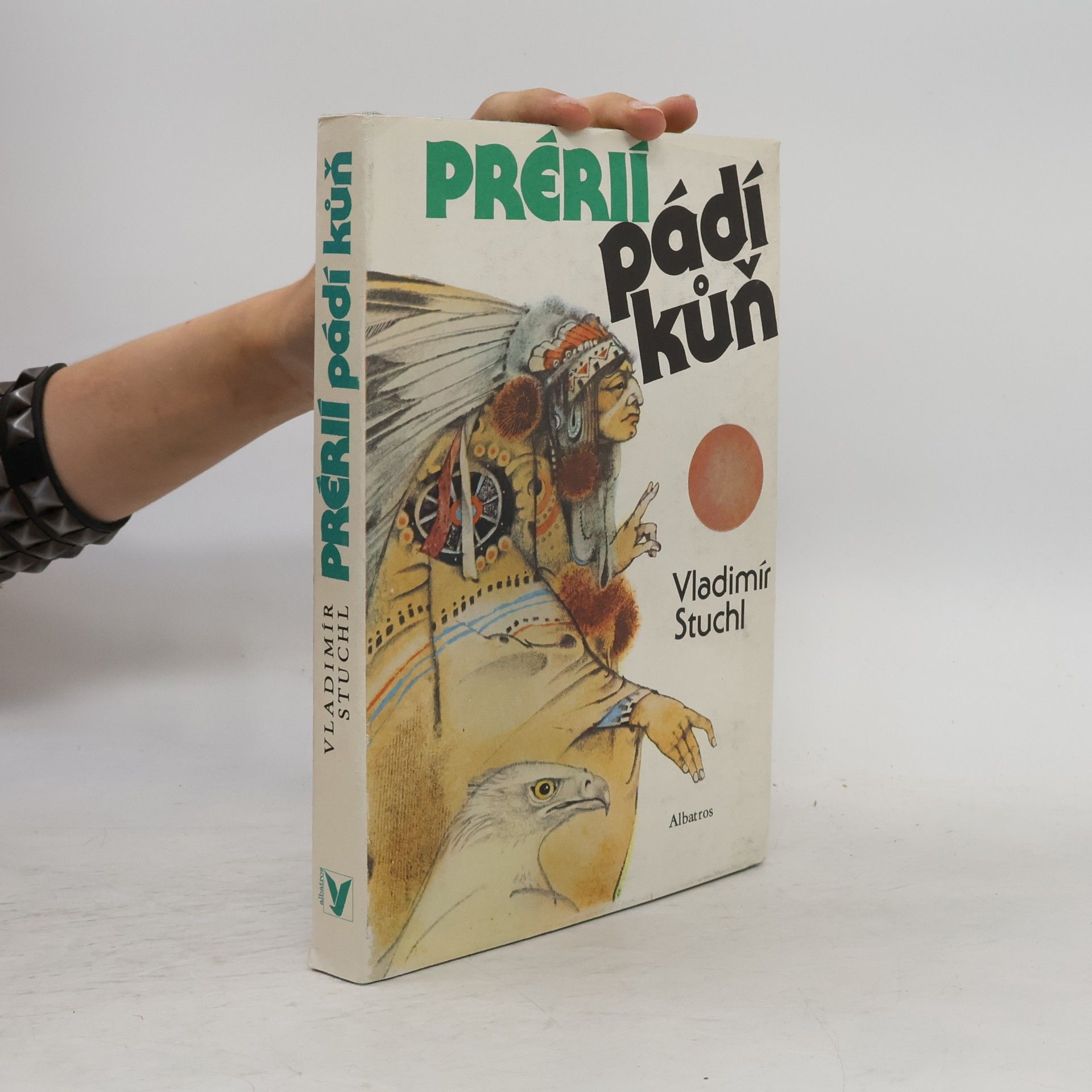 Prérií pádí kůň