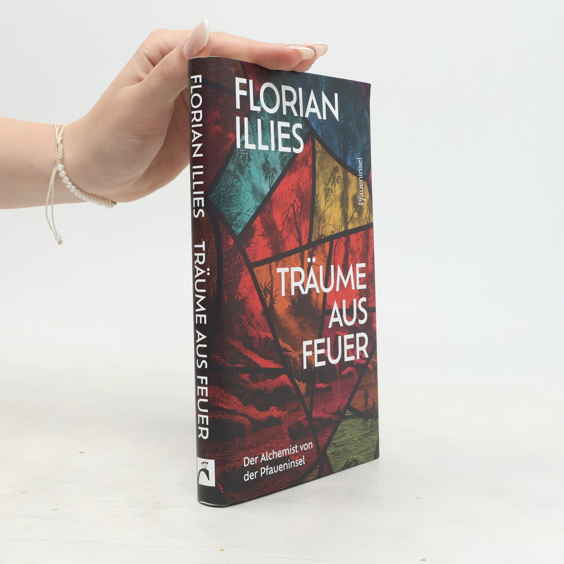 Florian Illies Träume aus Feuer