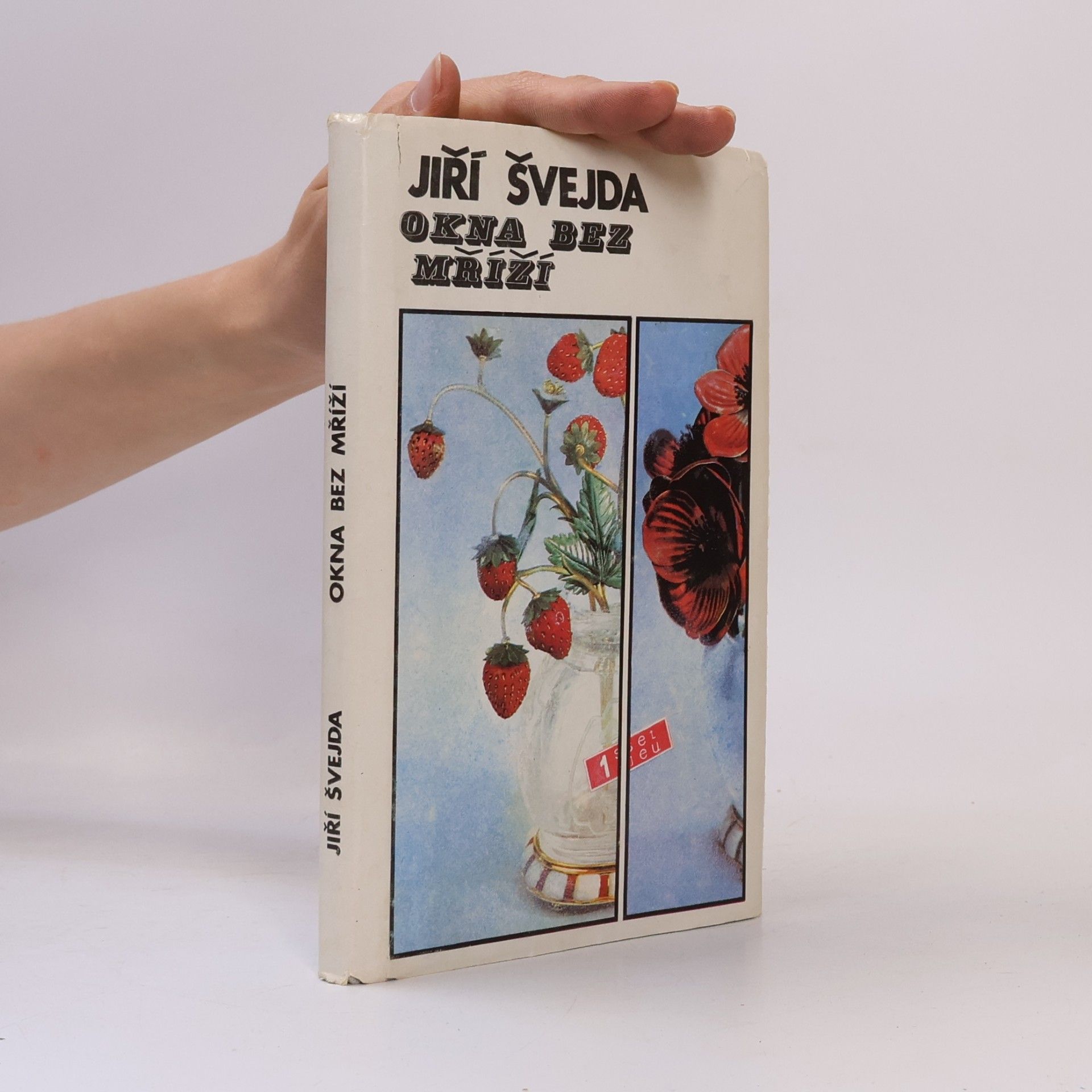 Jiří Švejda Okna bez mříží