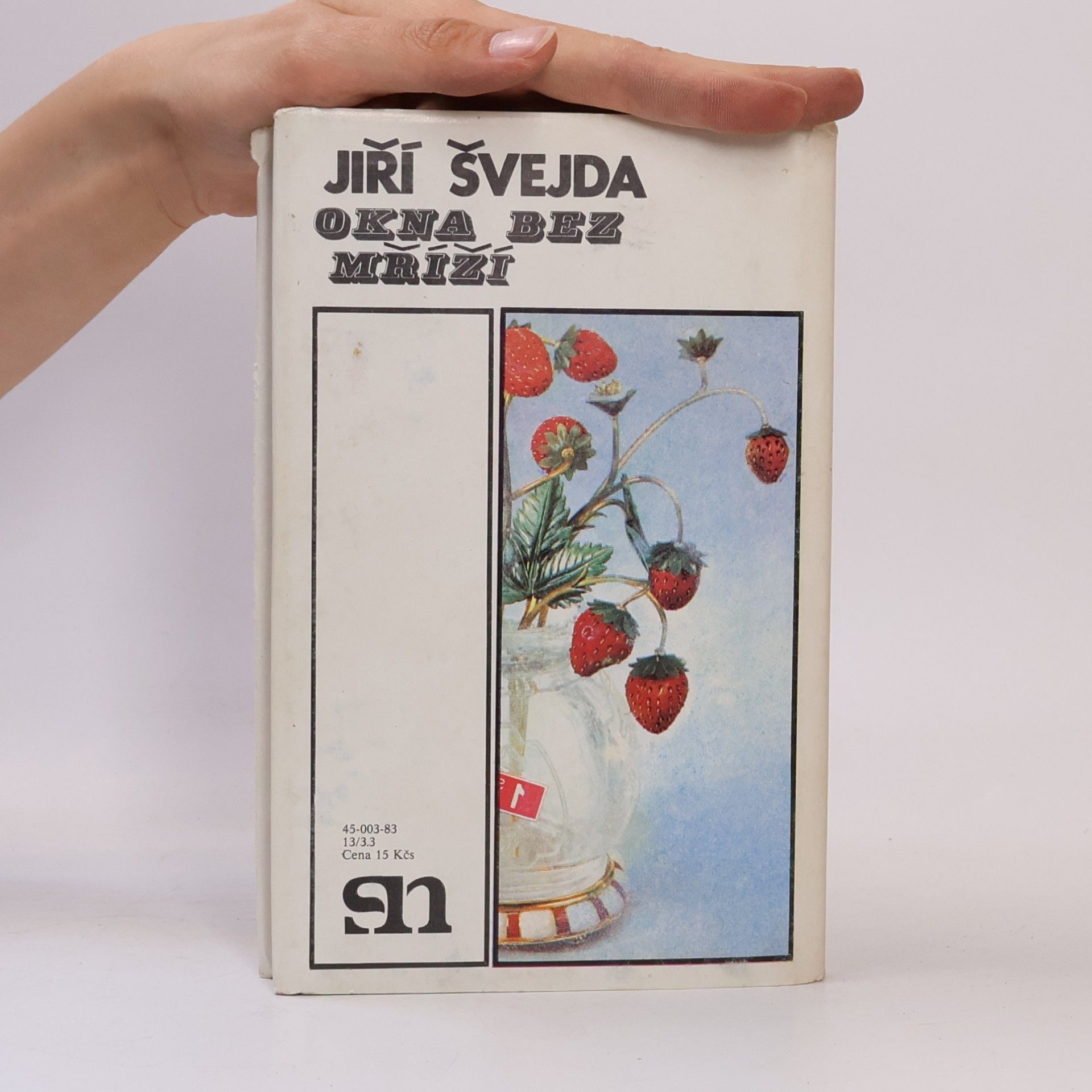 Jiří Švejda Okna bez mříží