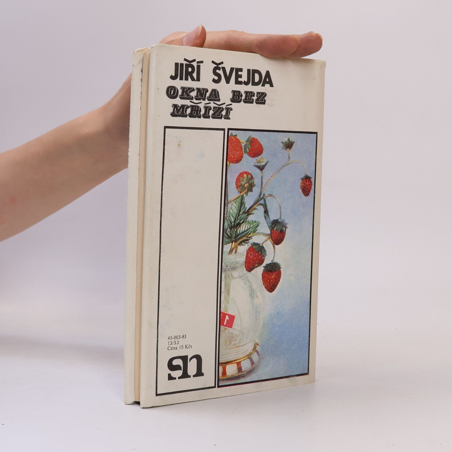 Jiří Švejda Okna bez mříží