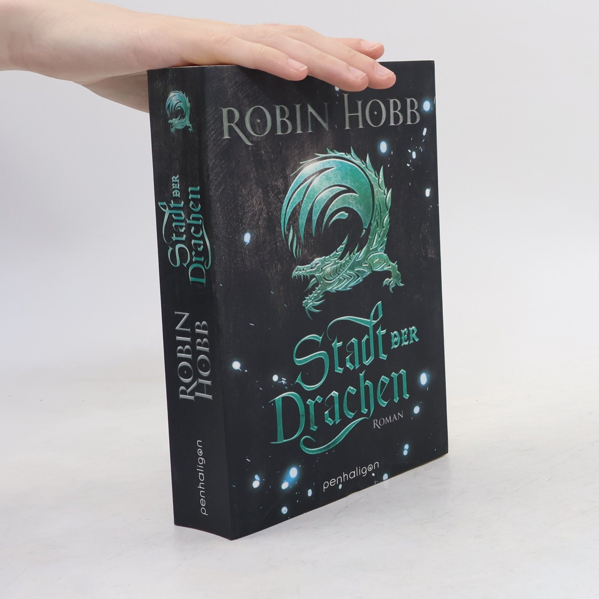 Robin Hobb Stadt der Drachen