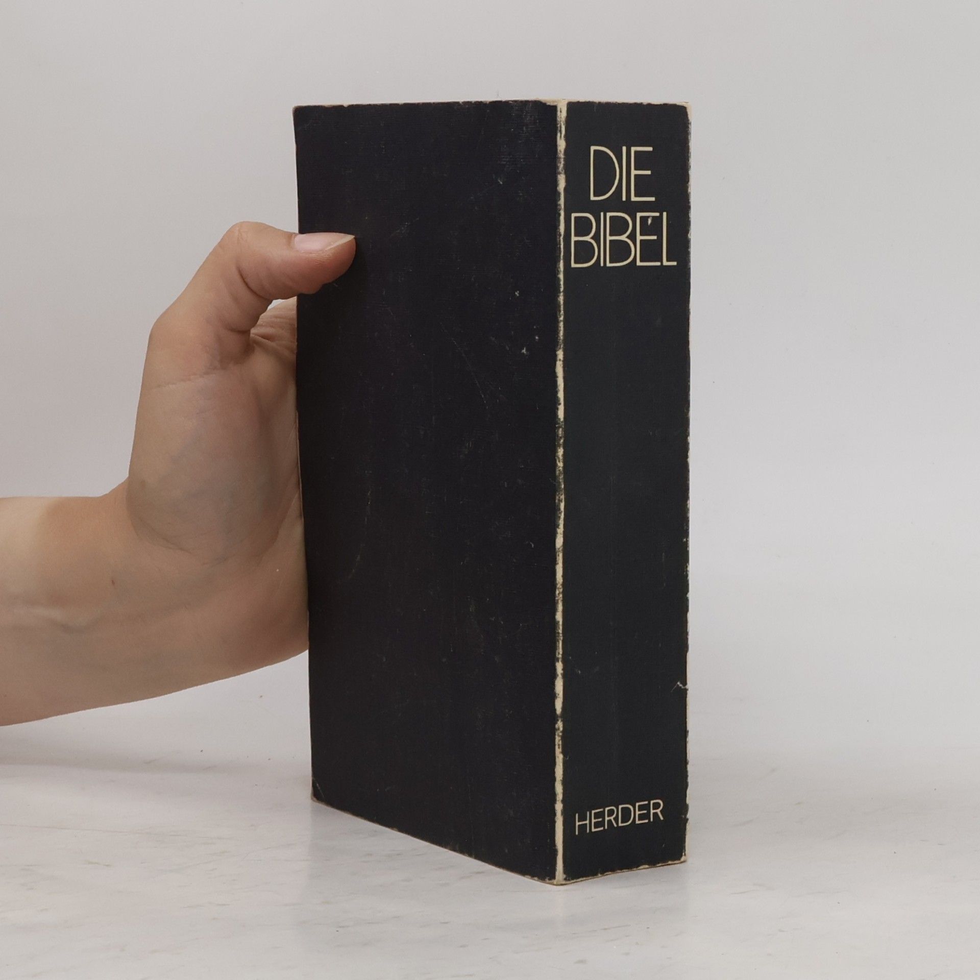 Kolektiv autorů Die Bibel