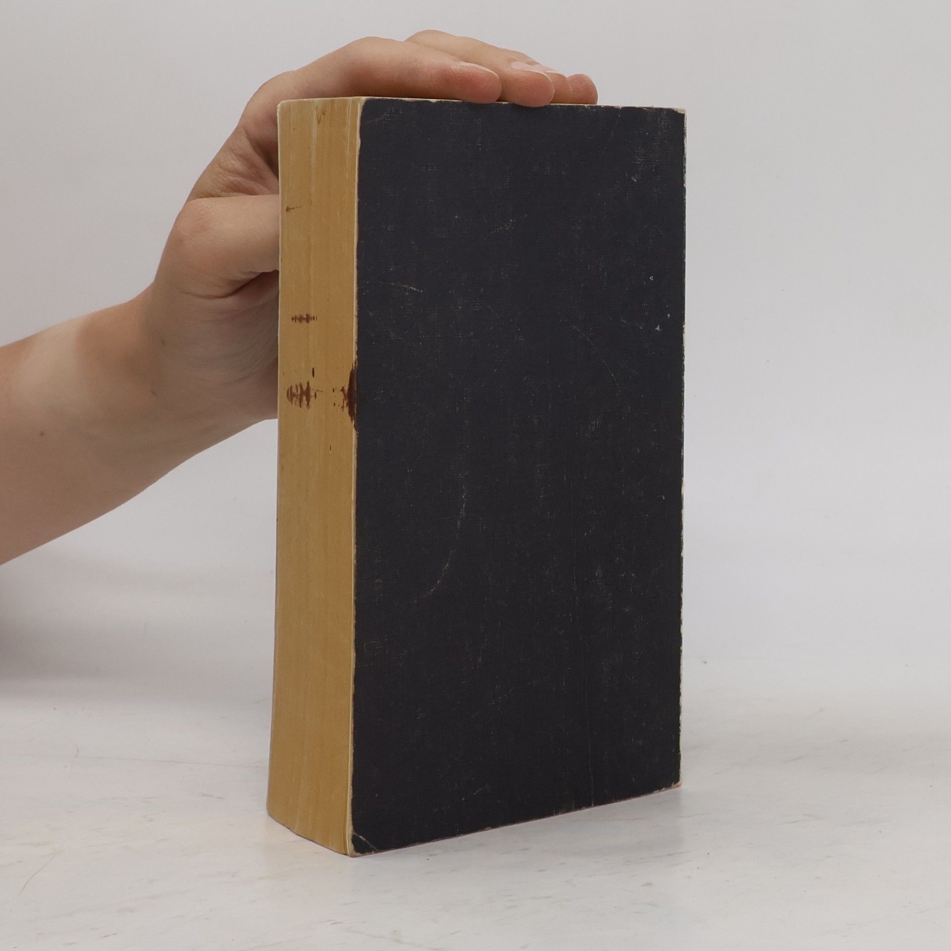 Kolektiv autorů Die Bibel