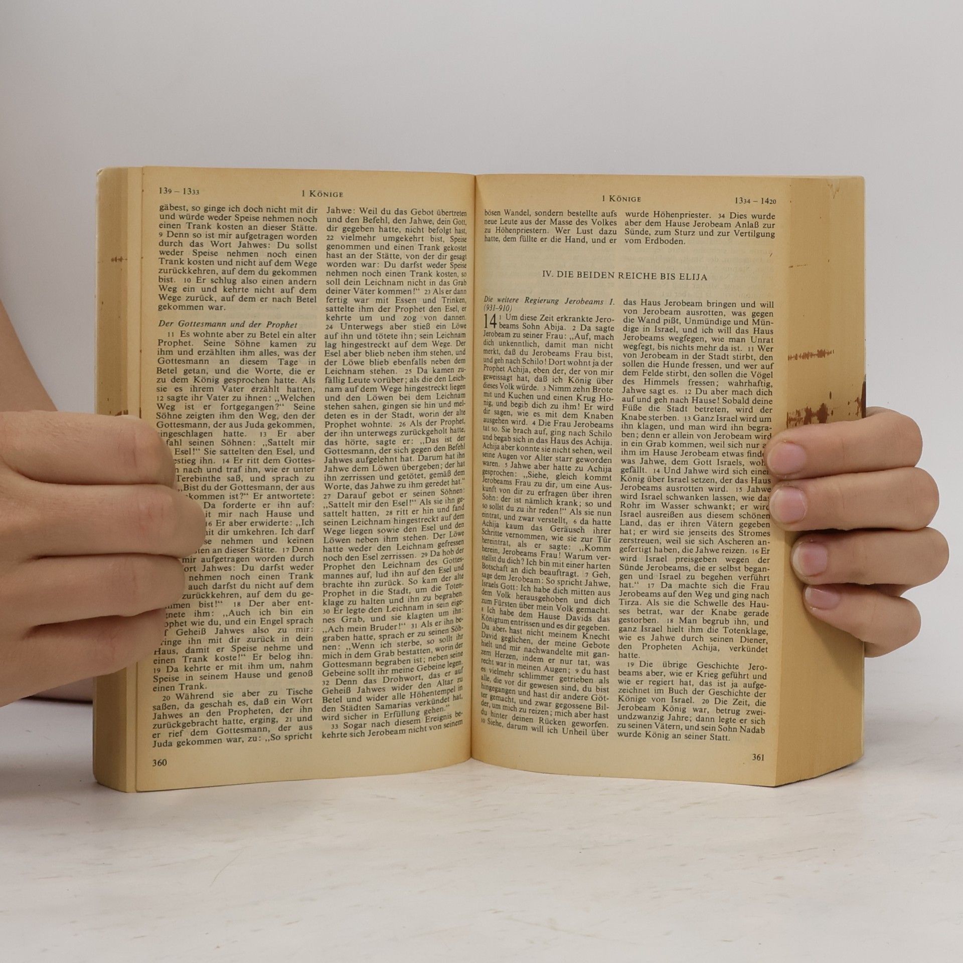 Kolektiv autorů Die Bibel