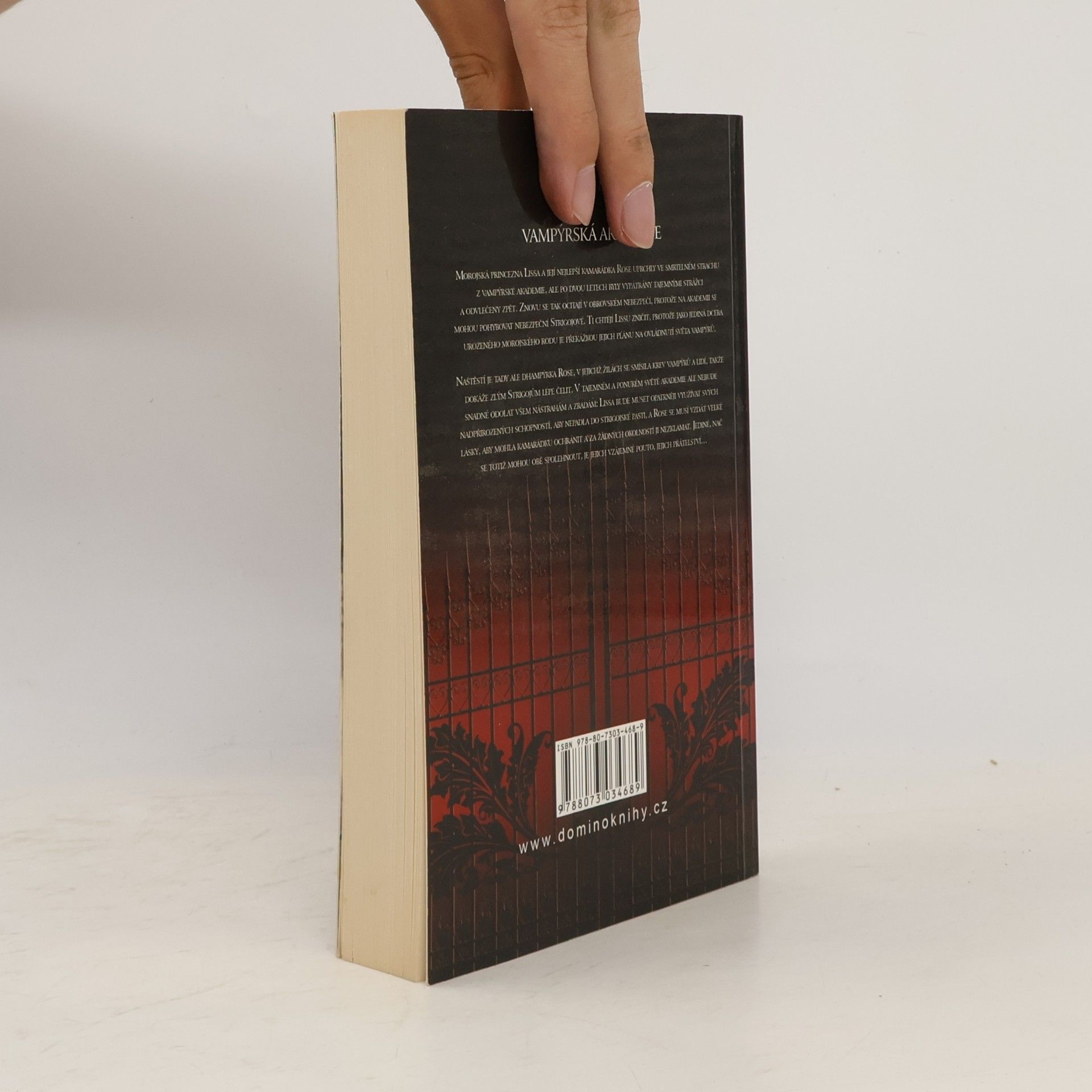Richelle Mead Vampýrská akademie