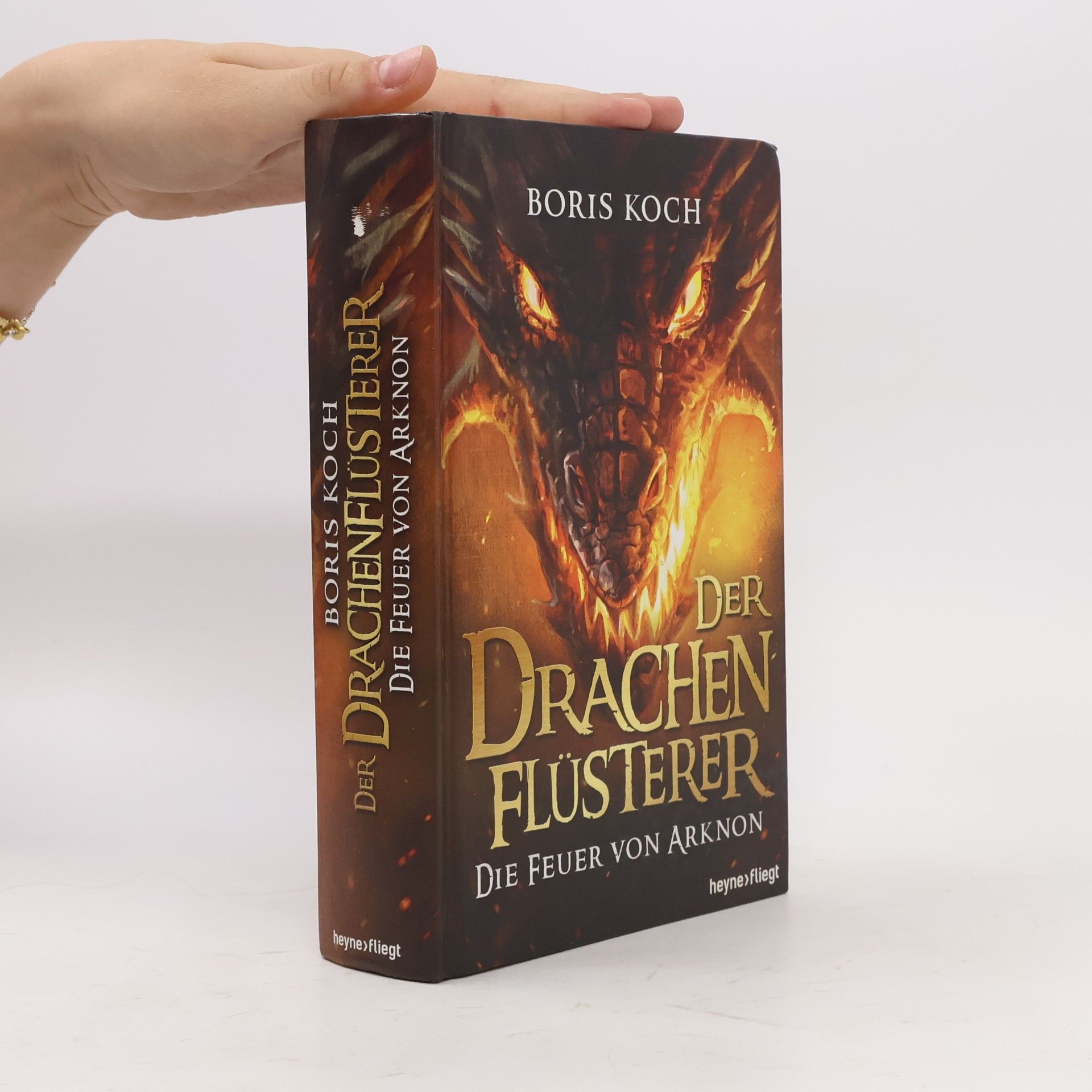 Boris Koch Der Drachenflüsterer - die Feuer von Arknon