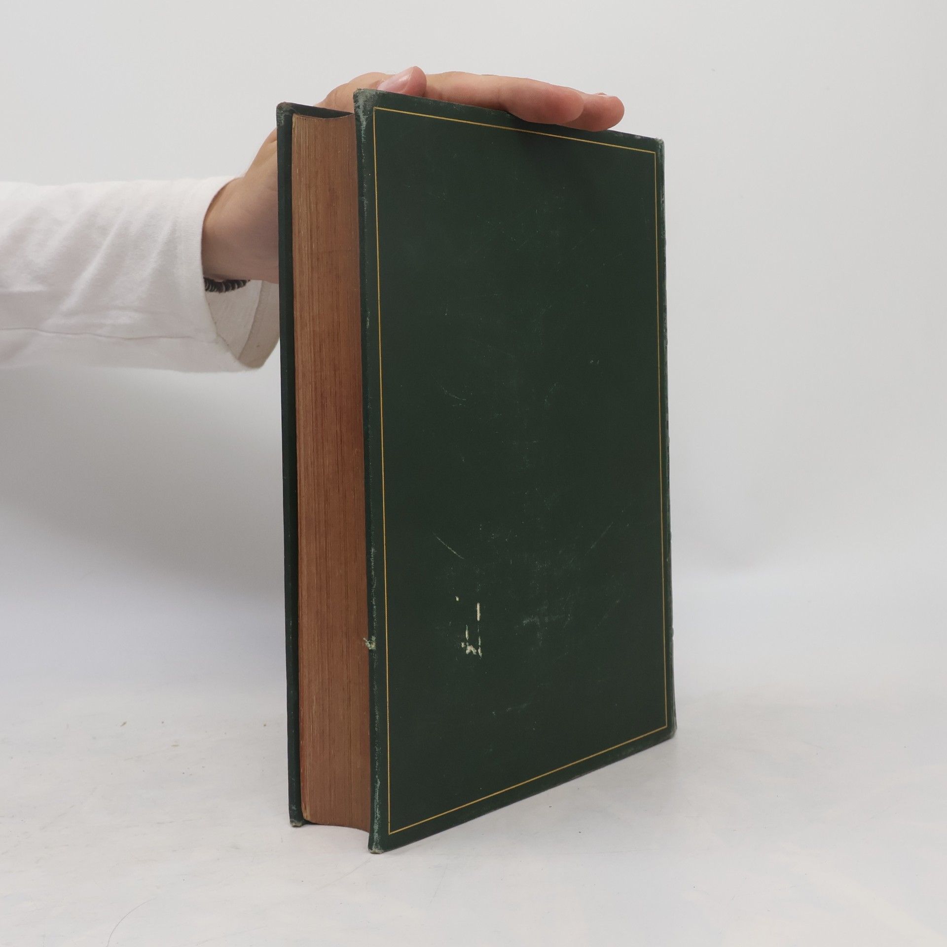 František Ferdinand d'Este Tagebuch meiner Reise um die Erde 1892–1893. Erster Band