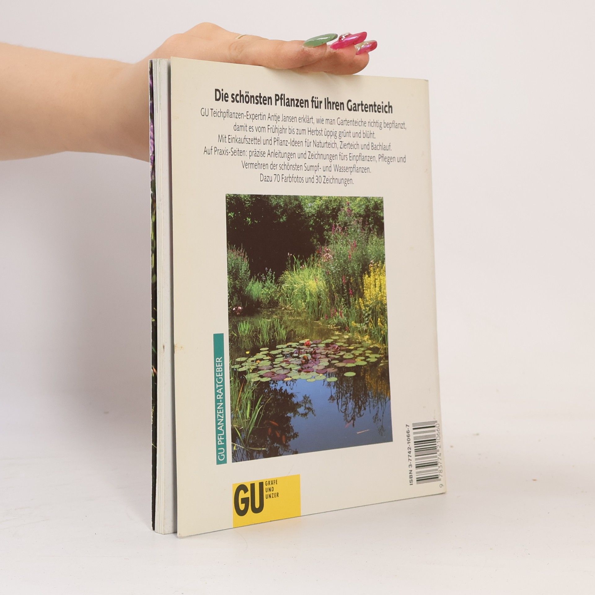 Antje Jansen Pflanzen für den Gartenteich