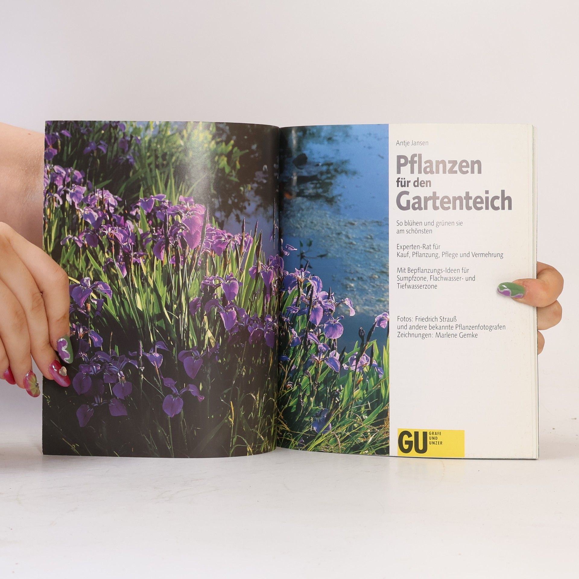 Antje Jansen Pflanzen für den Gartenteich