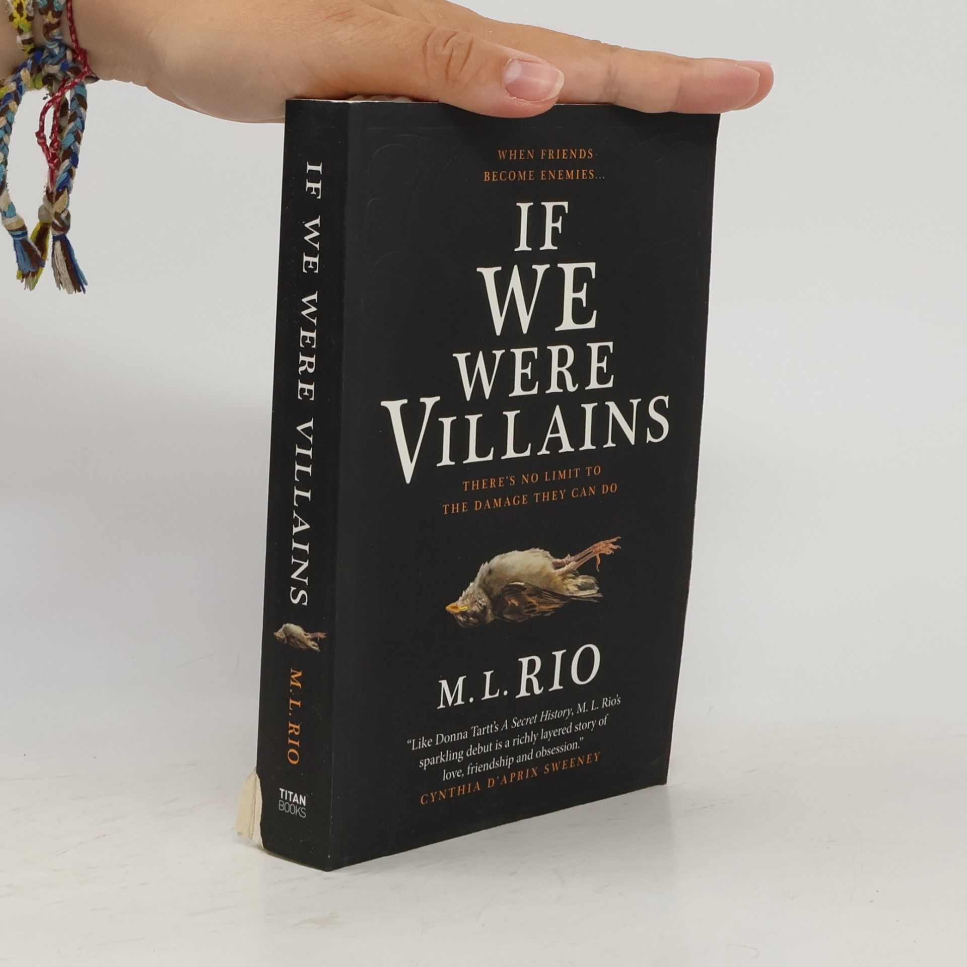 M. L. Rio If We Were Villains