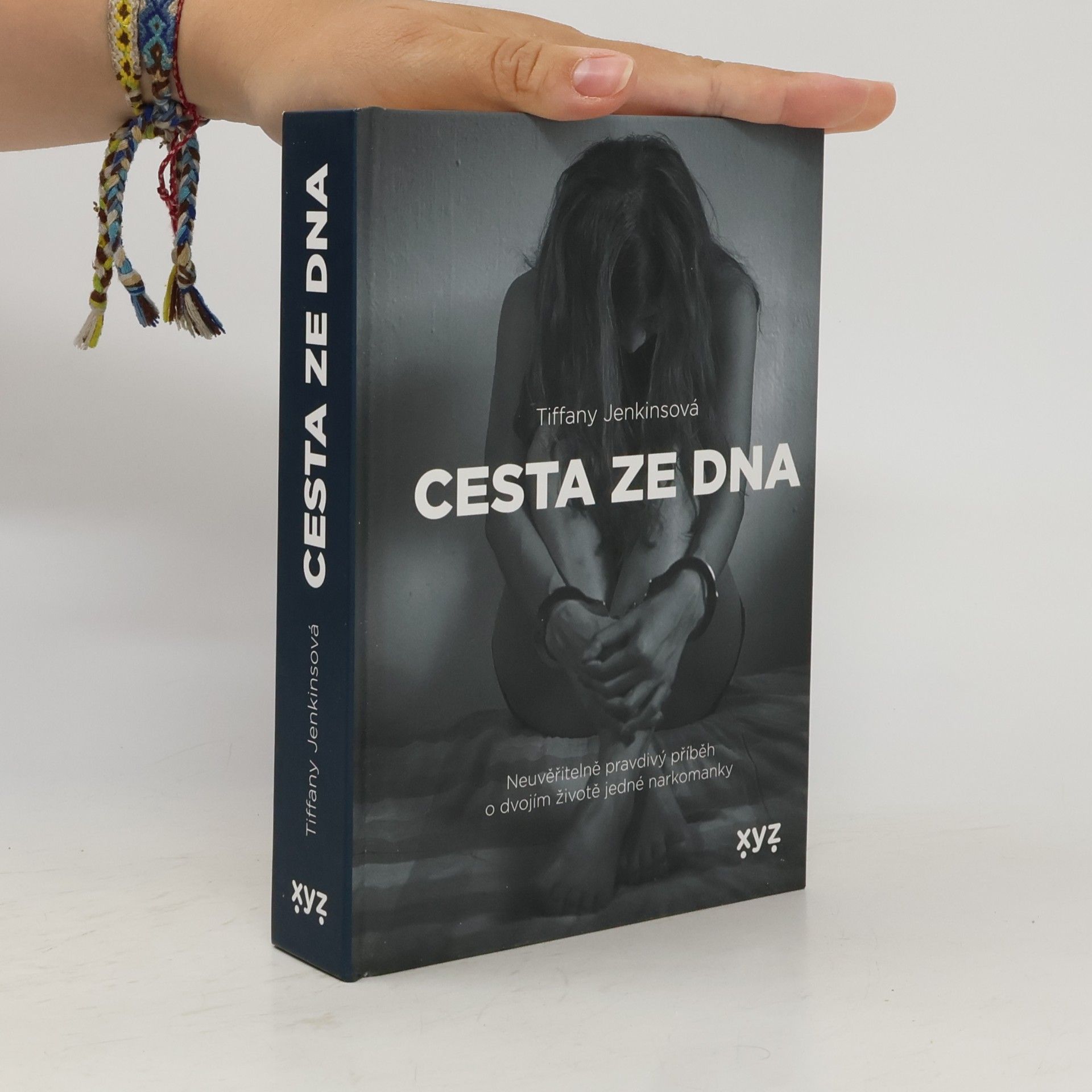 Tiffany Jenkins Cesta ze dna : neuvěřitelně pravdivý příběh o dvojím životě jedné narkomanky