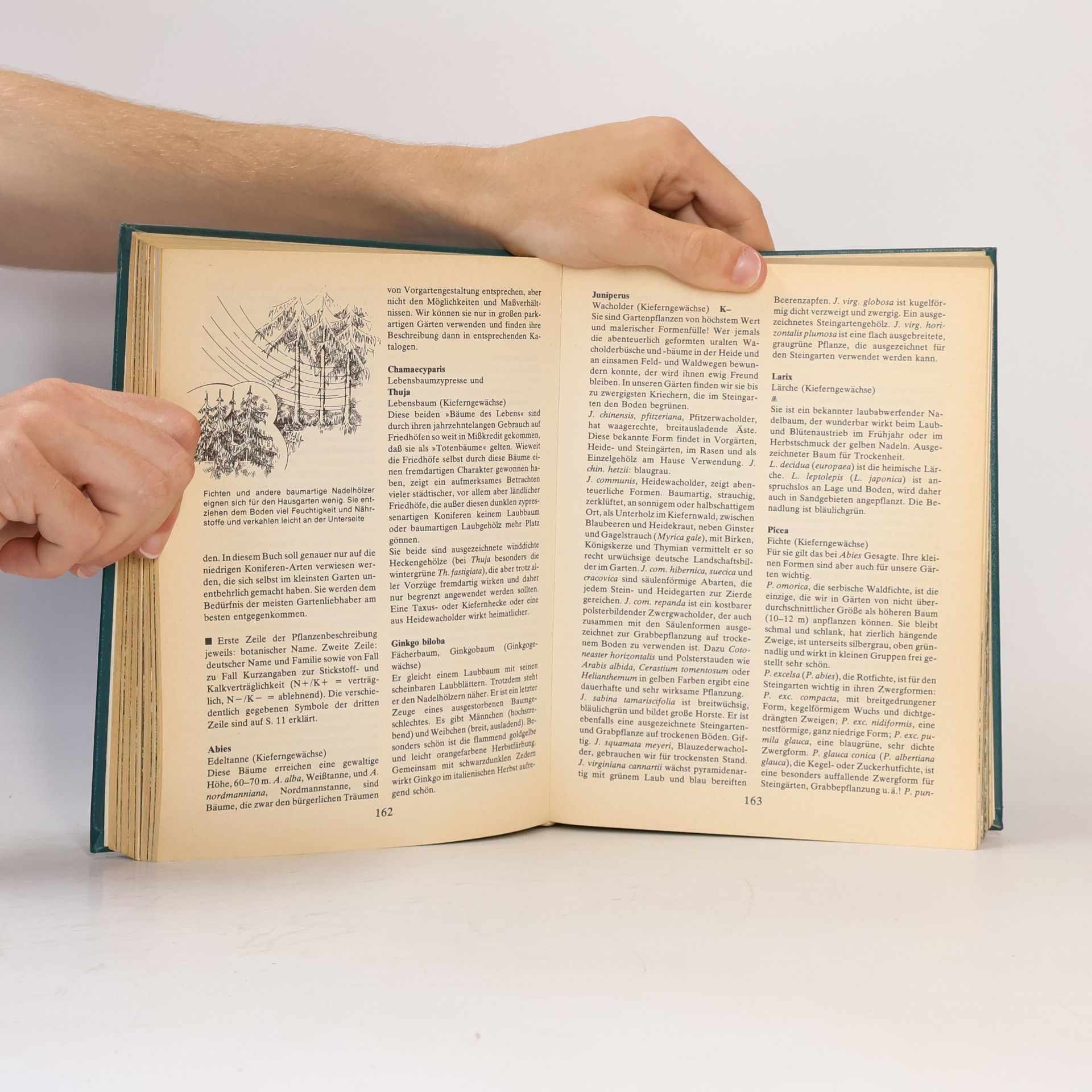 Horst Koehler Das praktische Gartenbuch