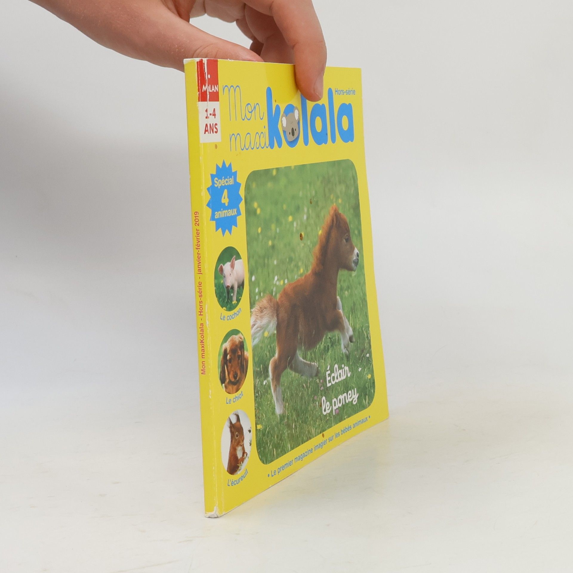 Autorenkollektiv Mon maxi Kolala