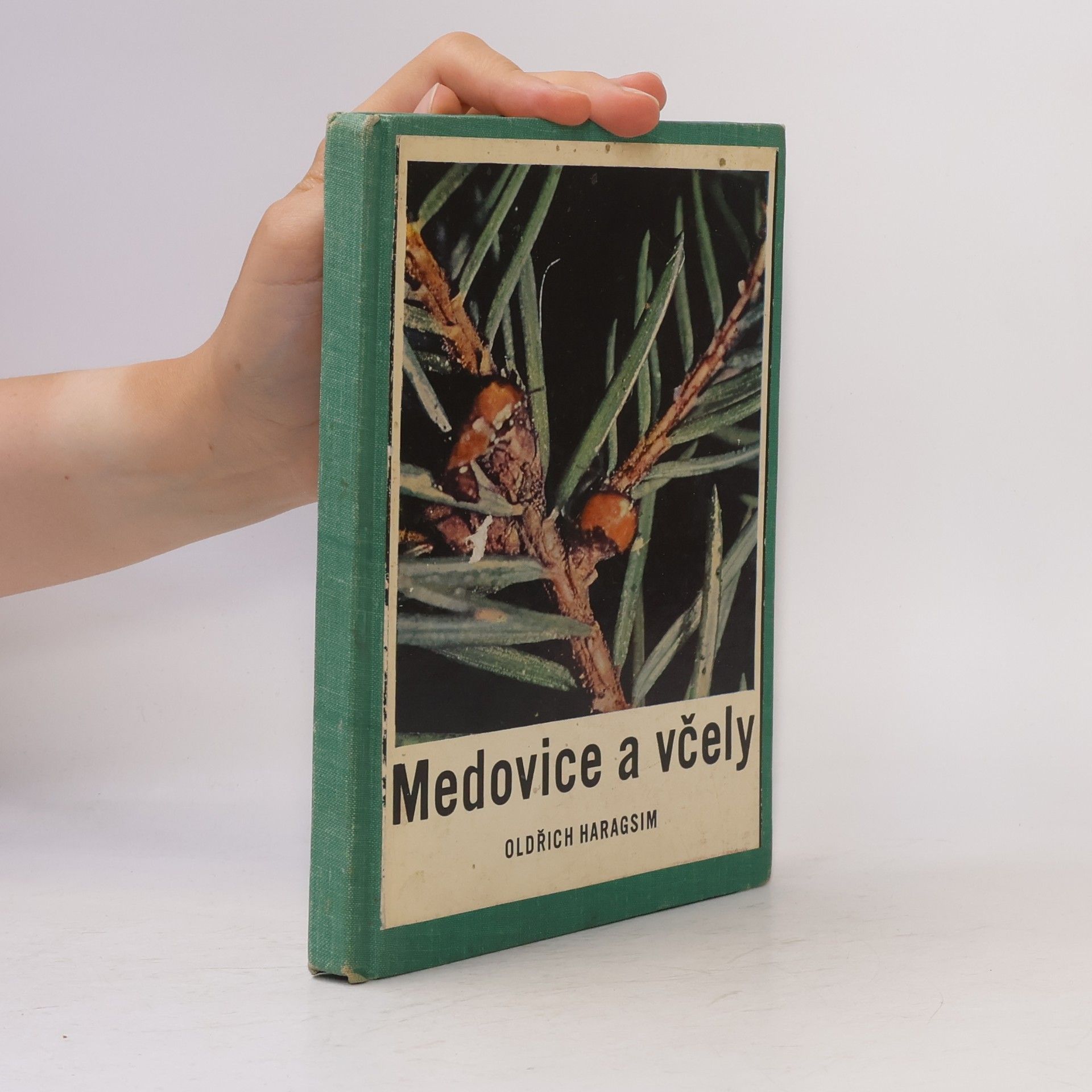 Oldřich Haragsim Medovice a včely