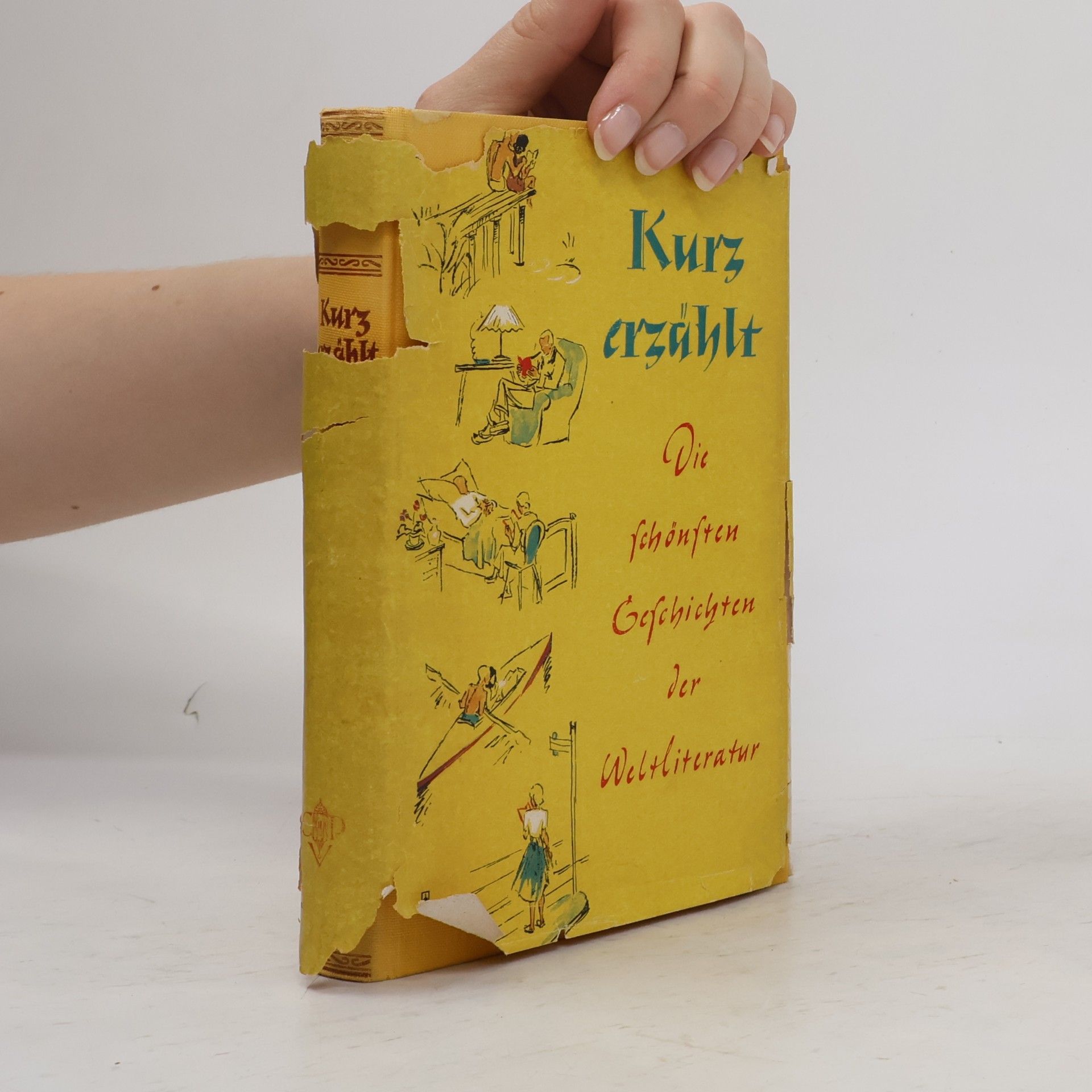Kurz erzählt