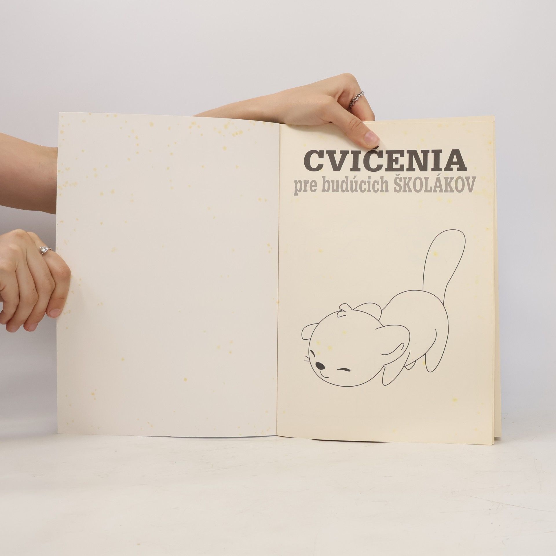 Kolektív autorov Cvičenia pre budúcich školákov