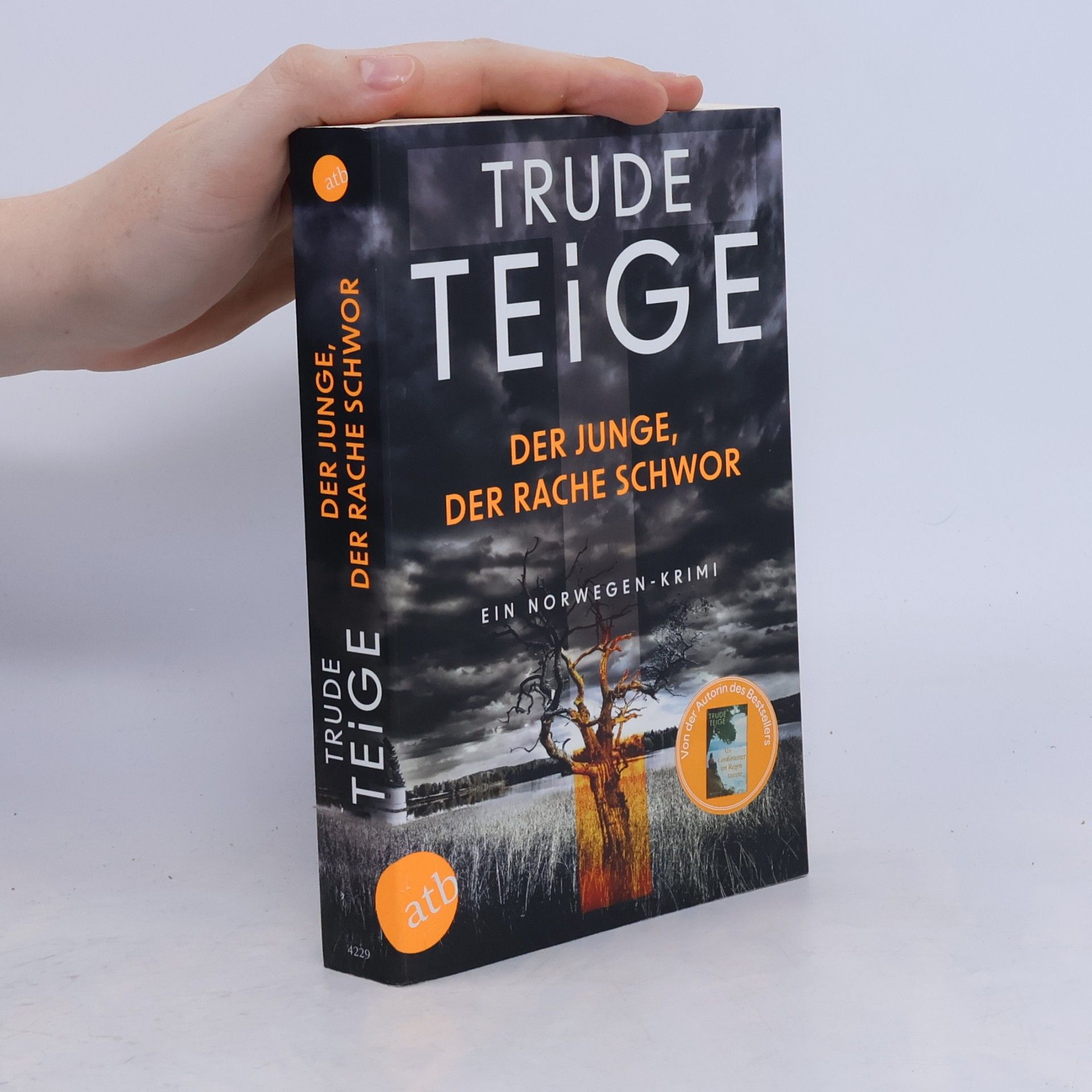 Trude Teige Der Junge, der Rache schwor