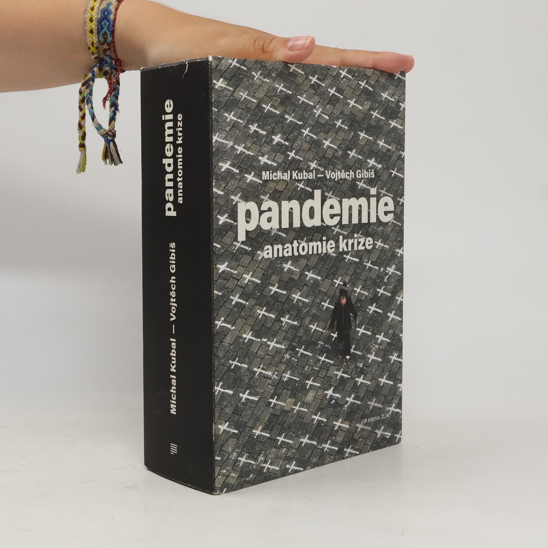 Vojtěch Gibiš Pandemie : anatomie krize