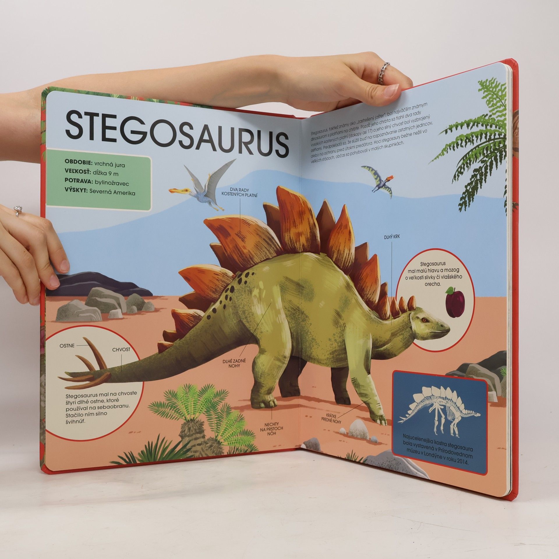 BOOKMEDIA s.r.o. Dinosaury