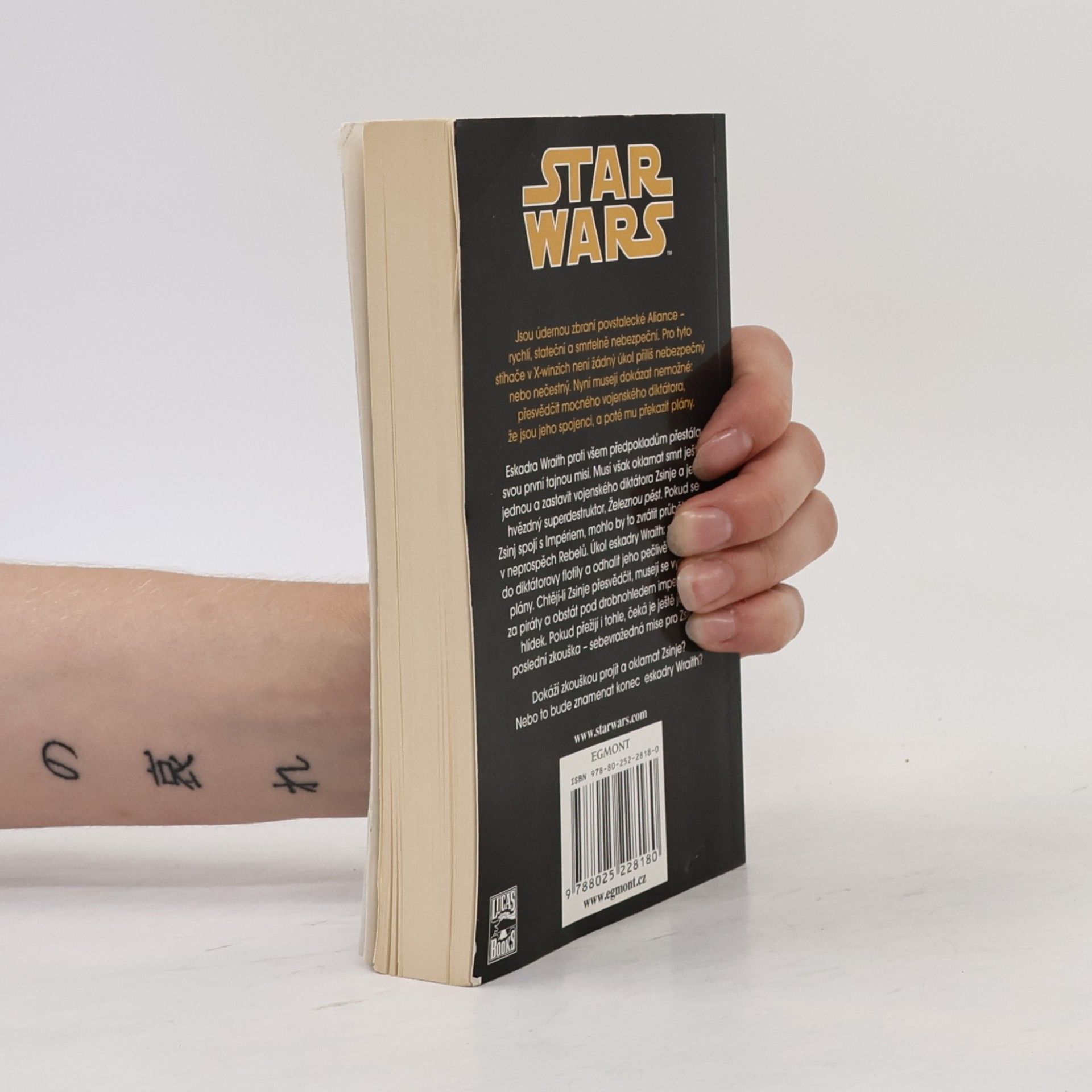 Aaron Allston Star Wars: X-Wing. Kniha šestá, Železná pěst