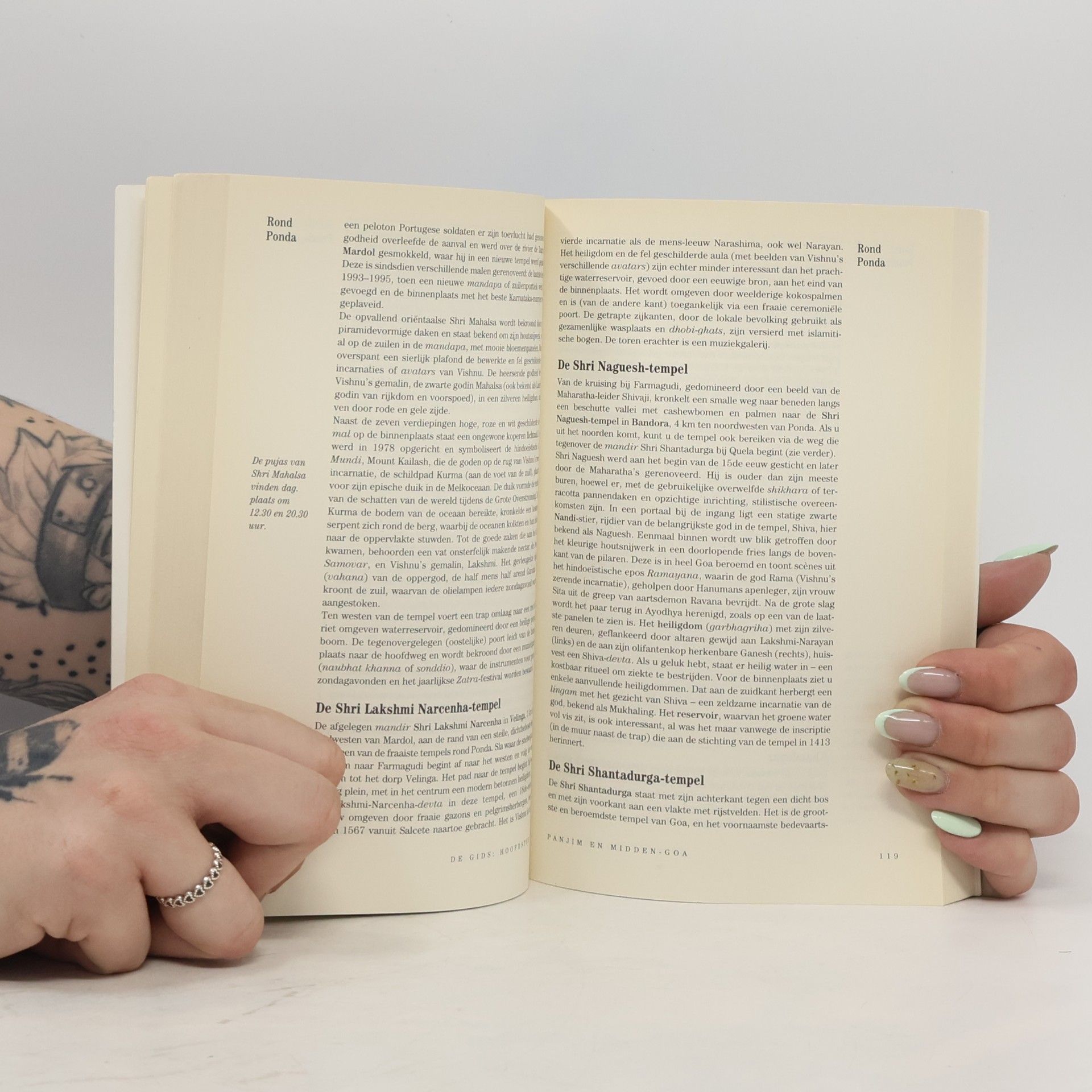 David Abram The Rough Guide: Goa Nederlandstalig