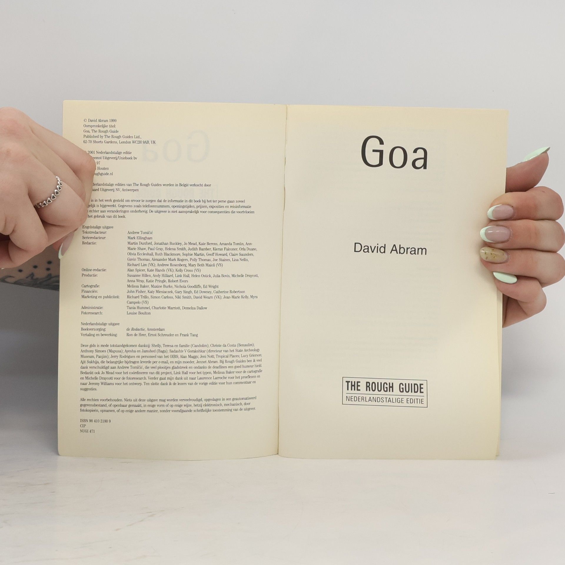 David Abram The Rough Guide: Goa Nederlandstalig