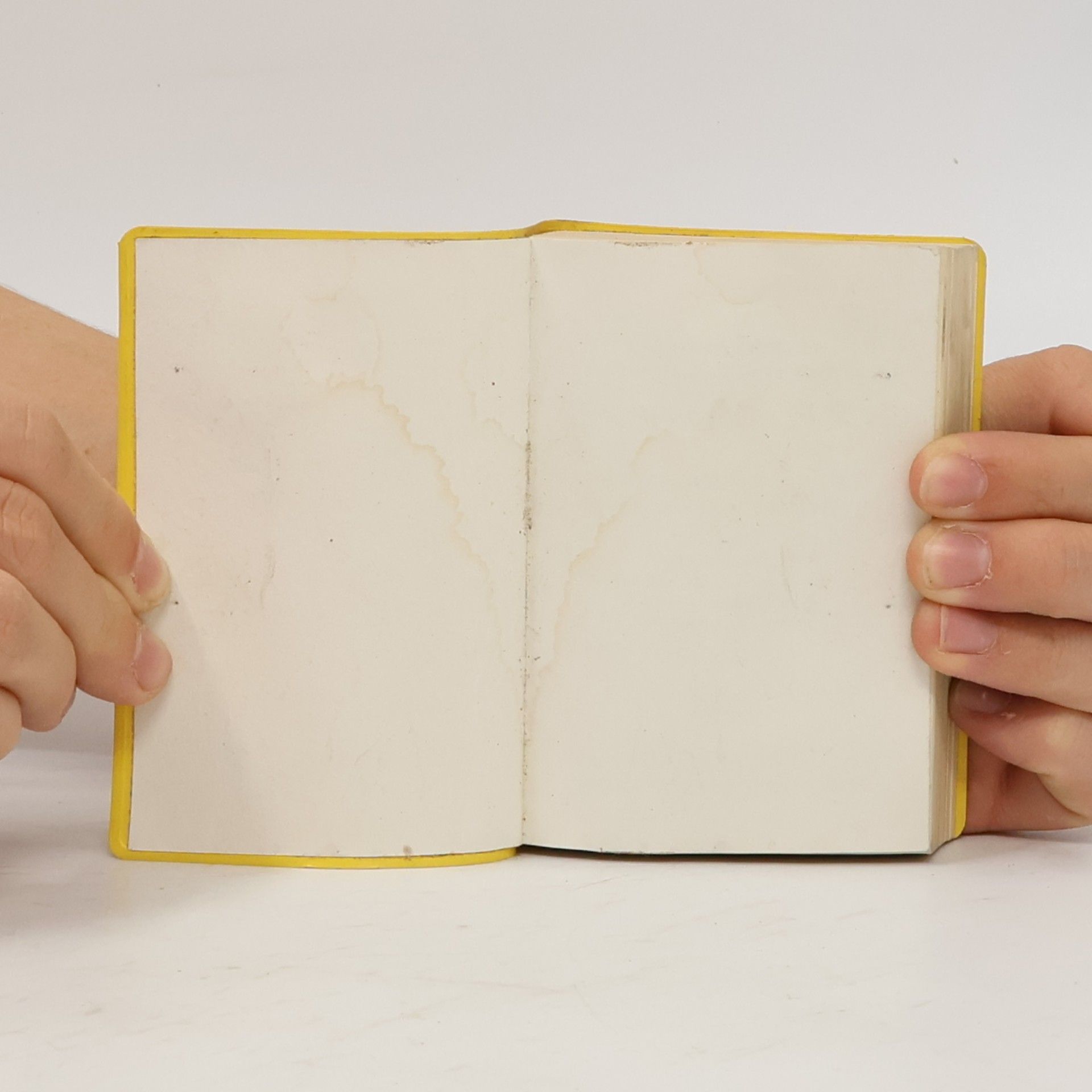 Reinhard Lauer Langenscheidts Universal-Wörterbuch Kroatisch