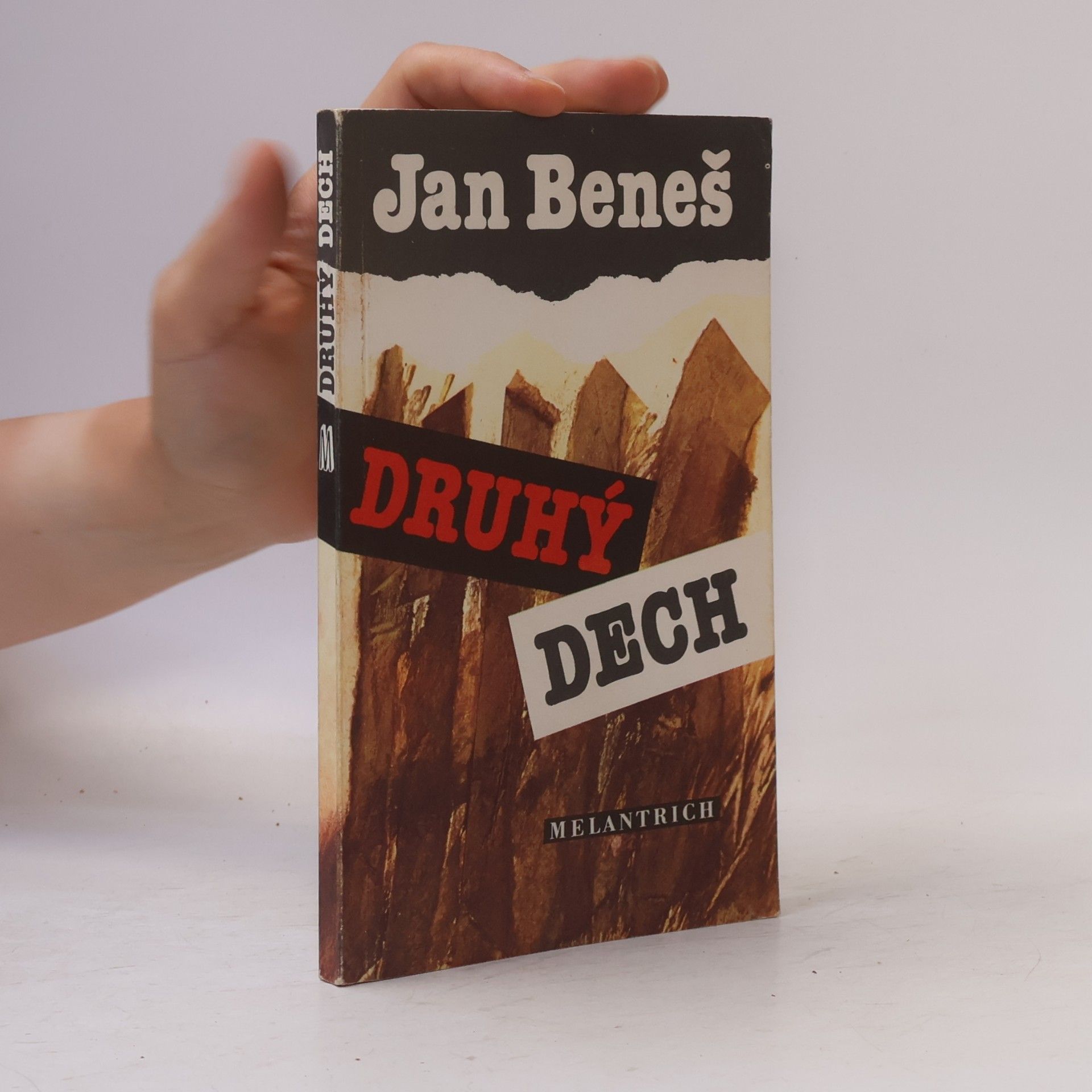 Radek Beneš Druhý dech