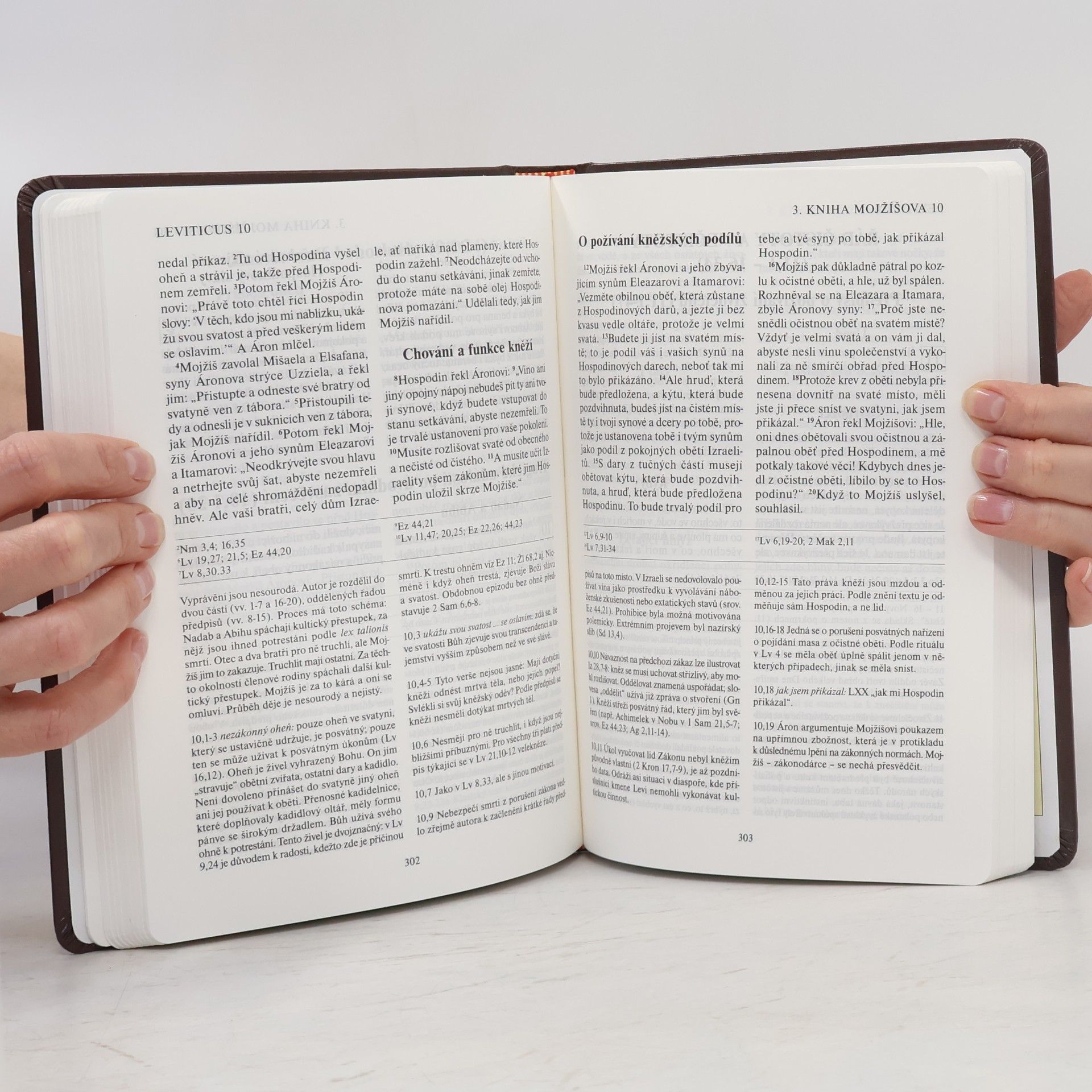 Václav Bogner Pentateuch (Pět knih Mojžíšových)