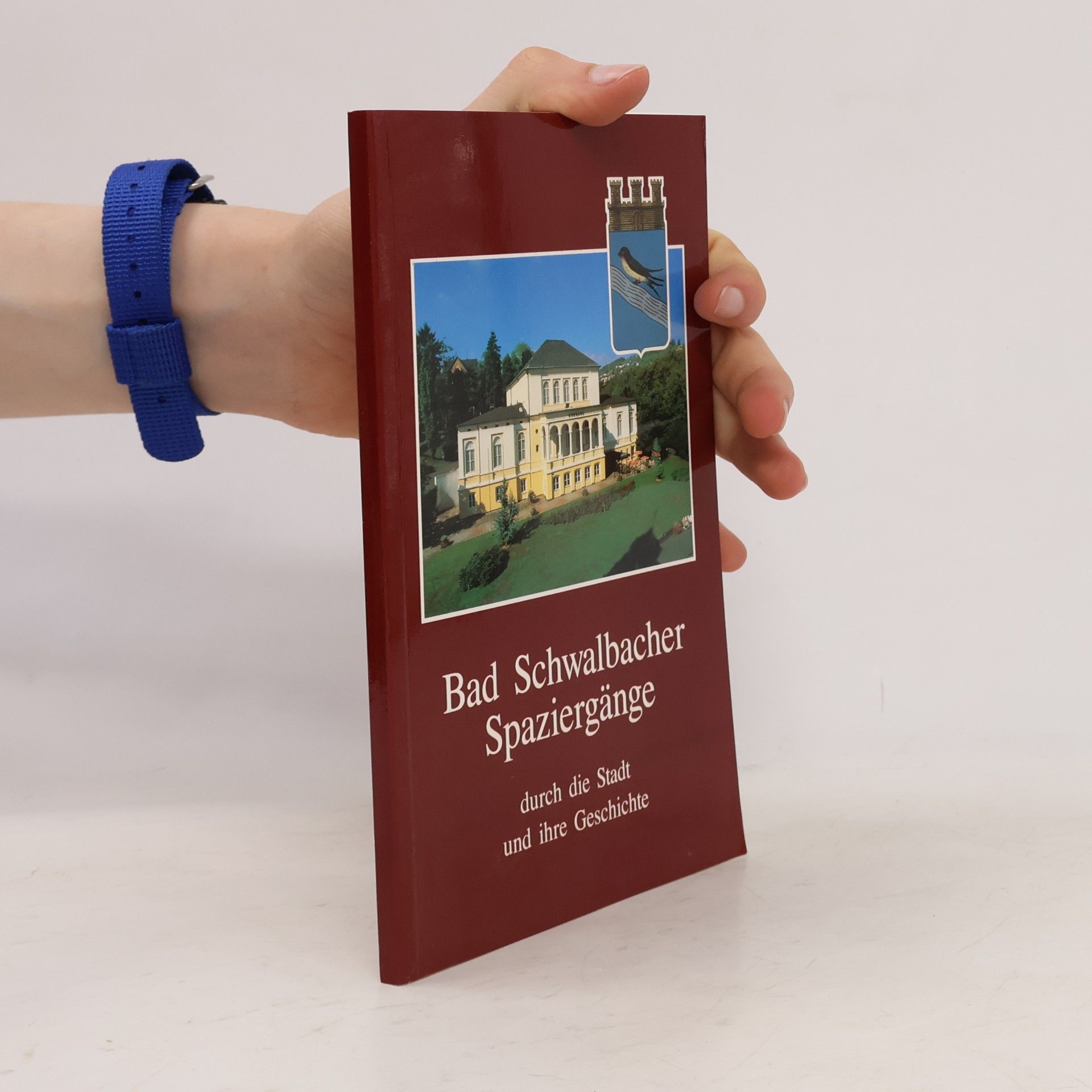 kolektiv Bad Schwalbacher Spaziergänge durch die Stadt und ihre Geschichte