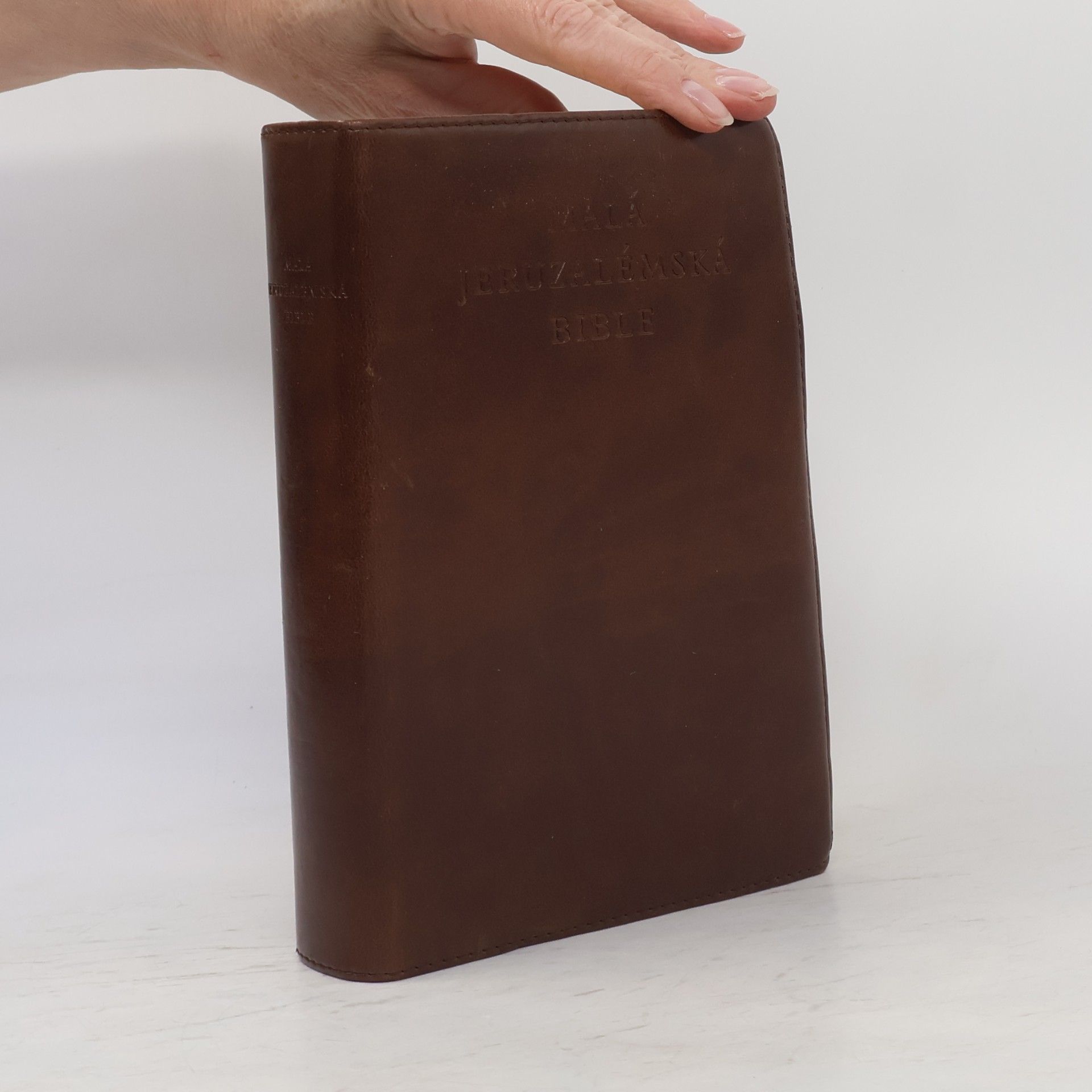 Dagmar Halasová Malá Jeruzalémská bible