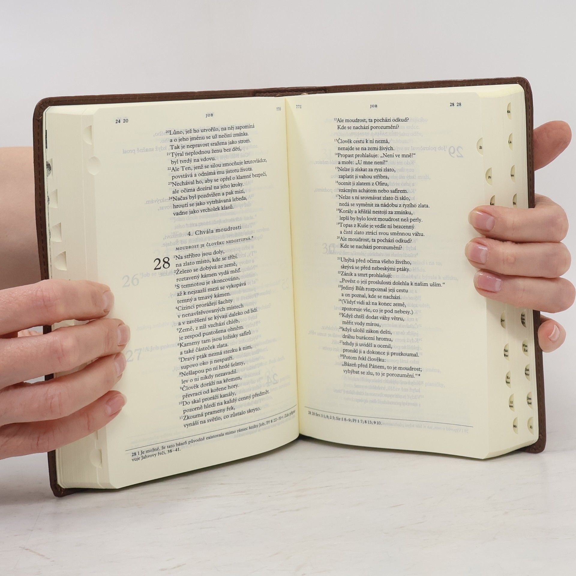 František Halas Malá Jeruzalémská bible