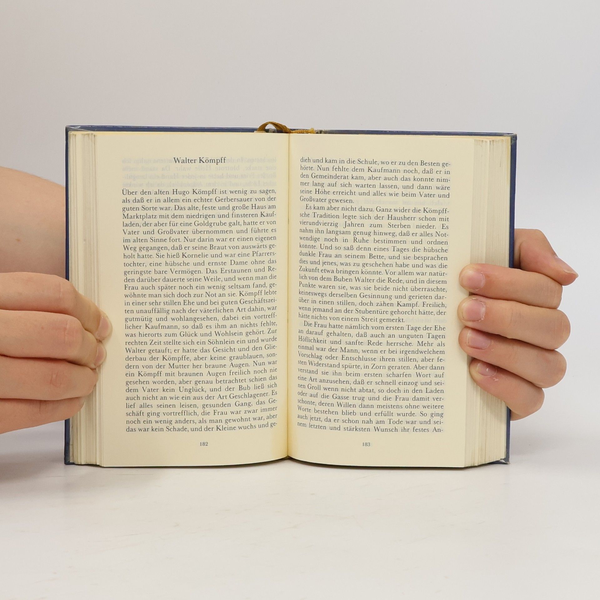 Hermann Hesse Meistererzählungen. Ausw. u. Nachw. v. Werner Weber