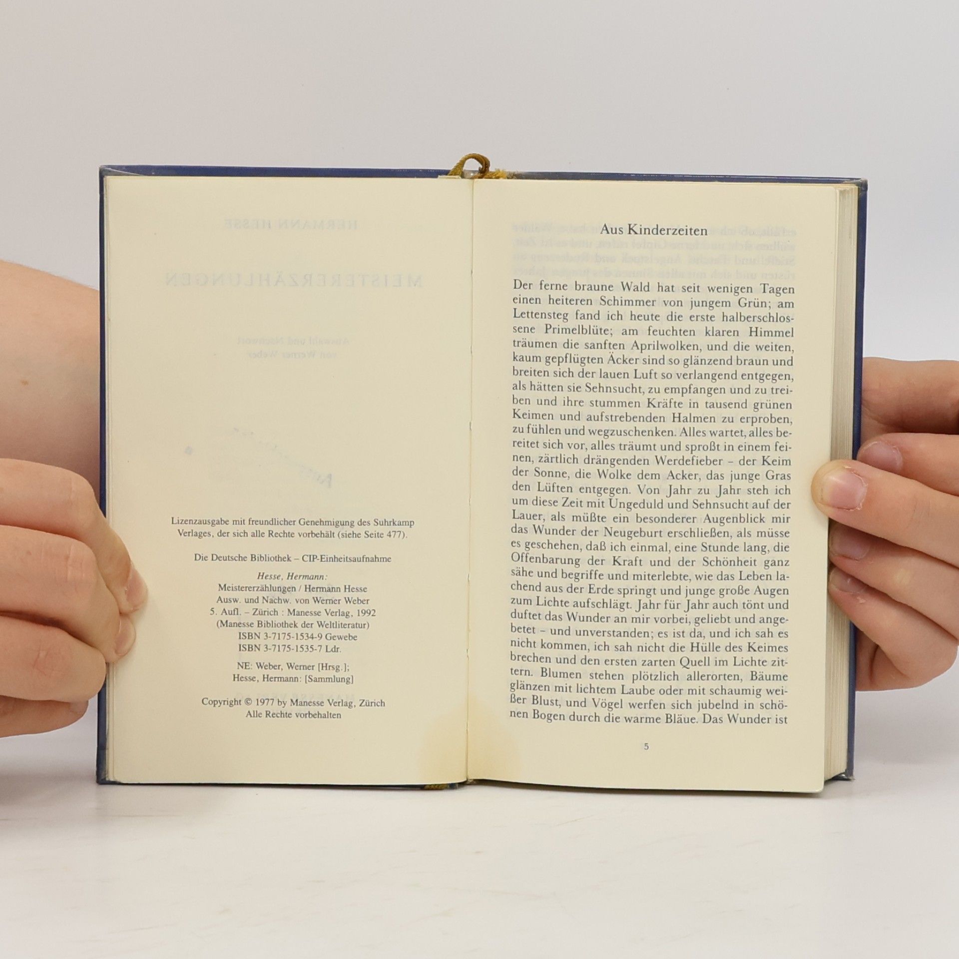 Hermann Hesse Meistererzählungen. Ausw. u. Nachw. v. Werner Weber