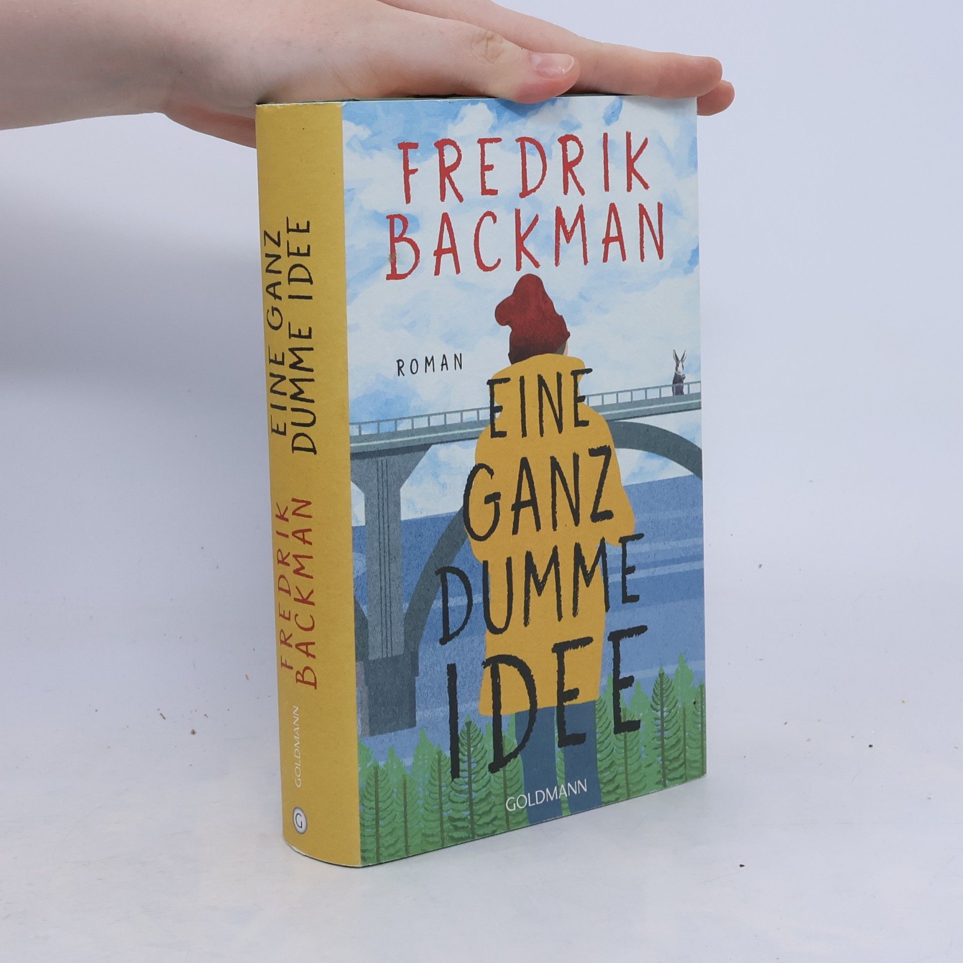 Fredrik Backman Eine Ganz dumme Idee